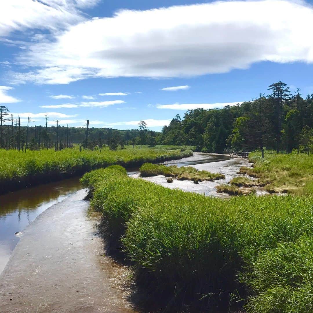 光野桃さんのインスタグラム写真 - (光野桃Instagram)「今日は森へ。 蛇行する川と湿原。 魂を鷲掴みにされた。  #もう秋の空 #根室」8月13日 15時01分 - mitsuno.momo