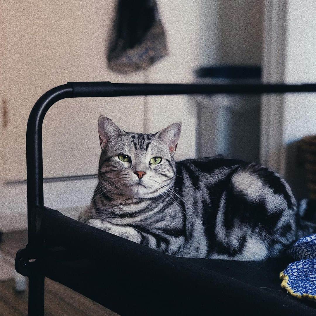 kaisakamotのグルメインスタ