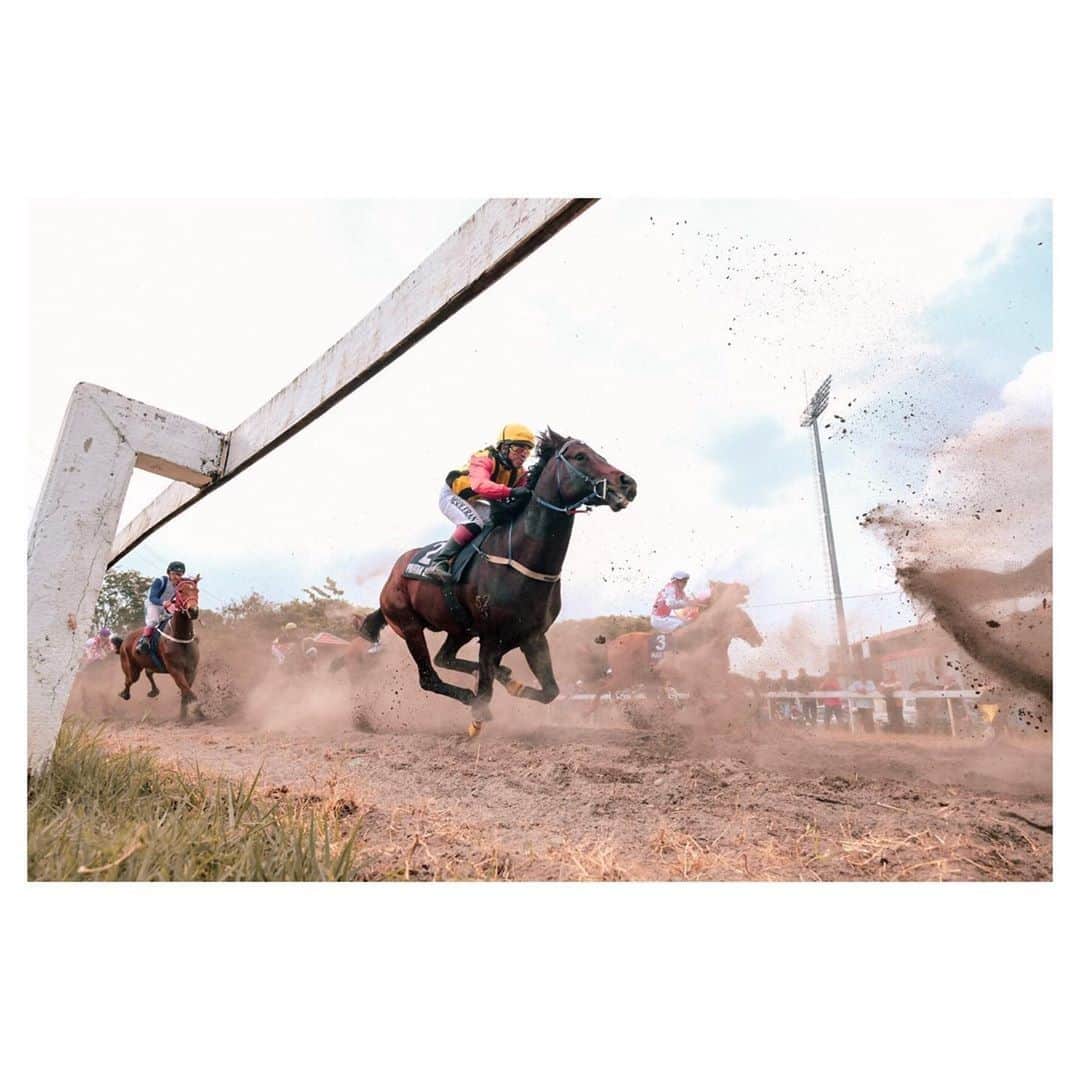 FUJIFILM INDONESIAさんのインスタグラム写真 - (FUJIFILM INDONESIAInstagram)「Fotografer @husain.akhmad dengan jeli menempatkan diri di bawah pagar pembatas tempat pacuan kuda. Penempatan posisi ini menentukan angle yang pas untuk mengambil momen saat kuda berpacu dengan kencangnya sehingga menghasilkan foto yang sempurna.  Captured using X-T2 Lens XF10-24mmF4 R OIS  #Fujifilm_id #XT2_id #XT2 #XF1024」8月13日 14時00分 - fujifilm_id