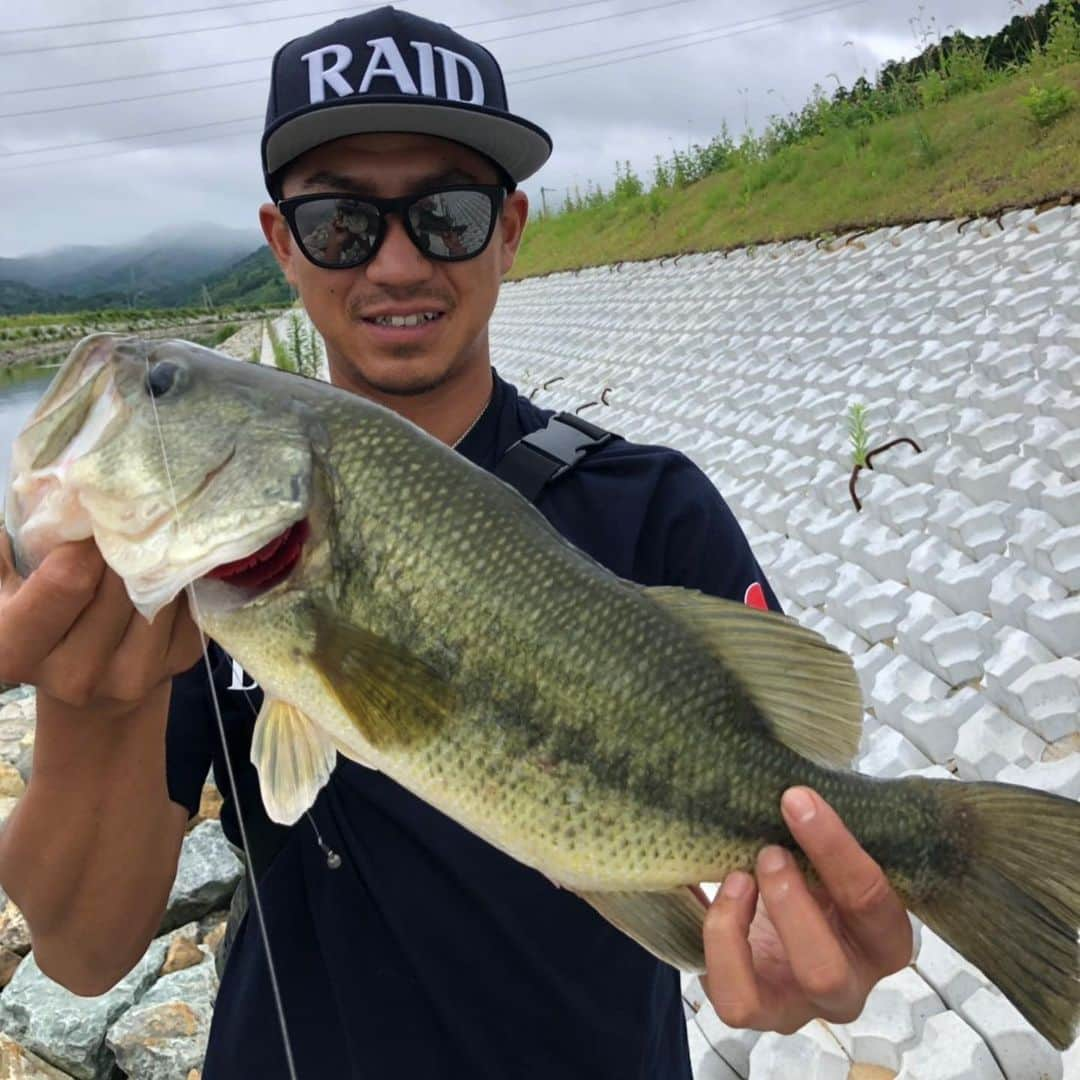 島井寛仁さんのインスタグラム写真 - (島井寛仁Instagram)「最近の🐟！！ #シーバス #ブラックバス」8月13日 14時23分 - shimai_hirohito