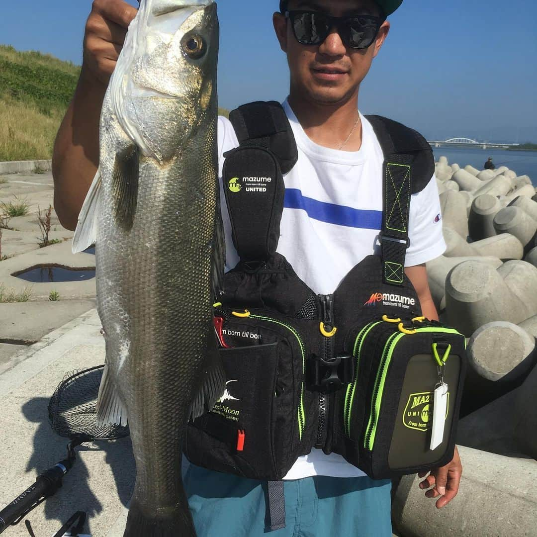 島井寛仁のインスタグラム：「最近の🐟！！ #シーバス #ブラックバス」