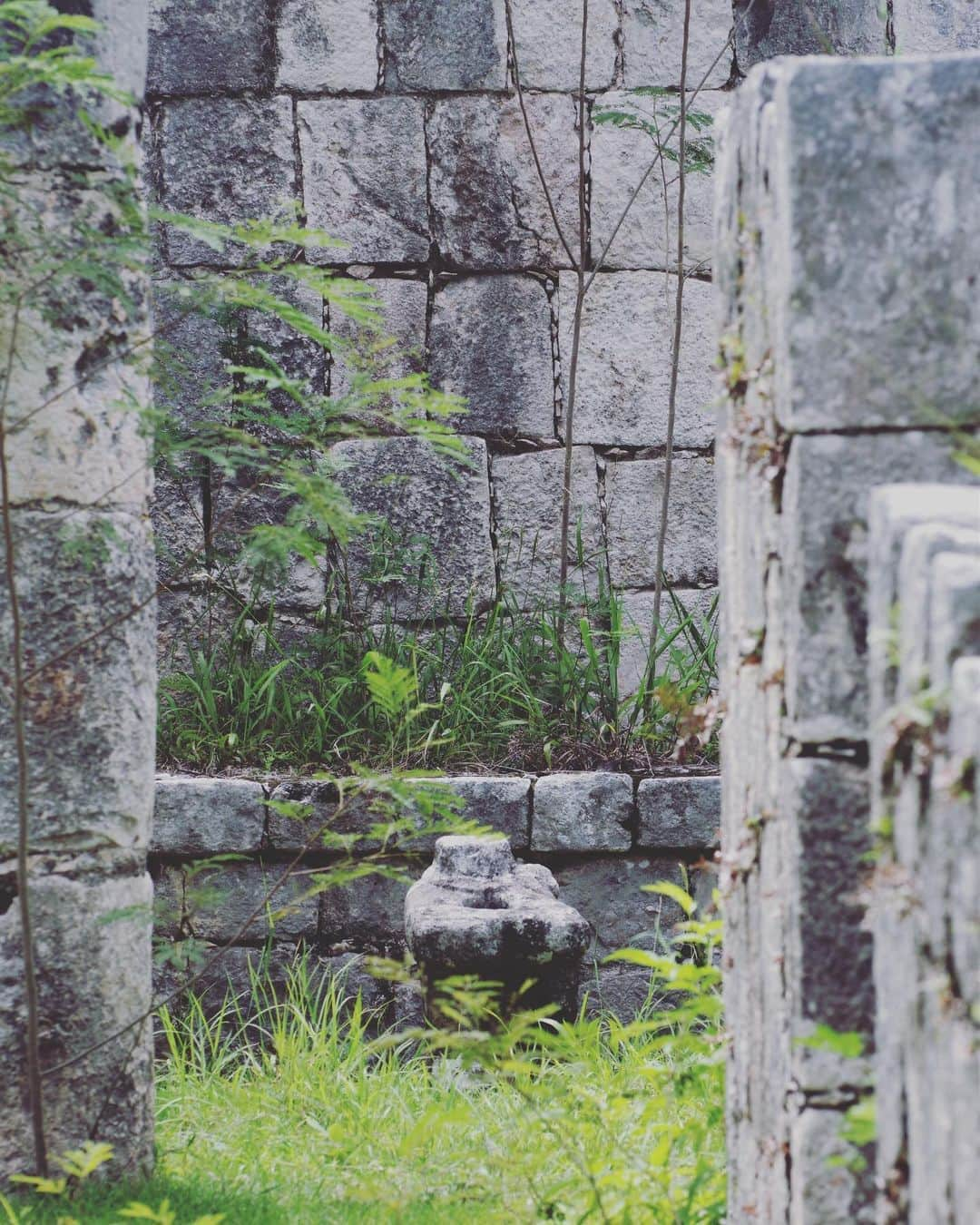 井浦新さんのインスタグラム写真 - (井浦新Instagram)「メキシコ湾とカリブ海の狭間にあるユカタン半島に約6604万年前惑星衝突(世界三大インパクトのひとつチクシュルーブ・クレーター)が起きて氷河期になり恐竜たちが絶滅した  ここは地球を感じるのにはもってこいの大事な地  地磁気や重力異常のある場所にマヤ文明があるのは偶然じゃない気がするなぁ火山を好んだ縄文人の様に  世界中どの地域の古代人も地球と太陽と月や星々 つまり宇宙の理を完璧に熟知している 天文学と数学と高度な技術そして自然への畏怖をもって造られた古代都市チチェン・イッツァは全てに意味があり仕掛けだらけで驚かされっぱなしだった  子供の頃からの夢ひとつ叶えたけど 次の目標は春分と秋分に起きる ククルカンの降臨の際にまた行きたい  #チチェンイッツァ #マヤ文明 #マヤ暦 #チャクモール #戦士の神殿 #天文台 #ククルカン #ククルカンのピラミッド #暦のピラミッド #カスティーヨ #セノーテ #メキシコ #世界遺産 #ピラミッドは二重構造 #中のピラミッドはもう入れない」8月13日 14時33分 - el_arata_nest