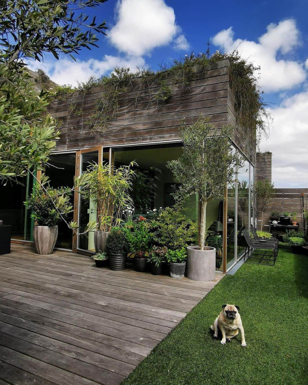 Airbnbさんのインスタグラム写真 - (AirbnbInstagram)「Stay in a private room in the Bjerget complex, an architectural landmark made up of terraced, plant-covered apartments. Like the surrounding Ørestad district, the building provides a feeling of natural calm within the city. Breakfast by Marianne and Tom, your Superhosts. Entertainment by Fiona, your pug.⁣ ⁣ Photo @lingskov2300」8月13日 6時44分 - airbnb