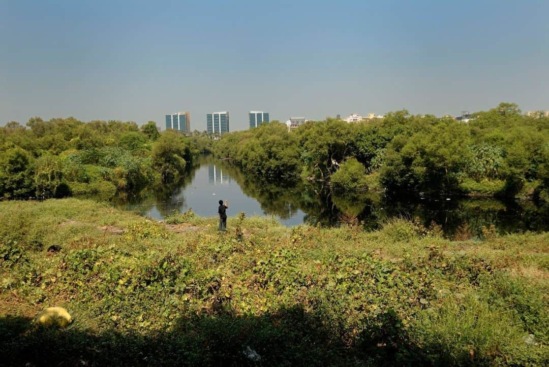 ルモンドさんのインスタグラム写真 - (ルモンドInstagram)「Au mois d’avril, le ministère de l’environnement, des forêts et du changement climatique de l’Inde donnait son feu vert à la construction du train à grande vitesse entre Bombay, la capitale économique de l’Inde, et Ahmedabad, annonçant que « treize hectares de mangroves » allaient bientôt disparaître. L’implantation d’une ligne ferroviaire de 508 kilomètres le long du rivage de la mer d’Arabie, en vue de réduire le temps de parcours entre les deux villes à 2 heures, contre 8 actuellement, allait obliger à déraciner 54 000 palétuviers, ces arbres qui poussent dans l’eau salée et protègent les côtes des aléas météorologiques. L’information avait fait l’effet d’une bombe. Depuis, les autorités ont tenté de calmer le jeu. Interpellé fin juin par un élu du Shiv Sena, parti d’extrême droite local très puissant, le ministre des transports du Maharashtra, Diwakar Raote, a précisé que « cinq arbres ser[aient] plantés pour chaque arbre déraciné ». Autre élément supposé rassurer les défenseurs de l’environnement : la ligne épargnera la nature car elle sera réalisée en hauteur, presque exclusivement sur les piliers d’un viaduc, et sous terre à l’approche de Bombay, ce qui devrait limiter les dégâts sur la flore. - Le Bandra-kurla Complex, une zone d'affaires au nord du bidonville de Dharavi, est parcouru par une mangrove, à Bombay. Photo : Gael Kerbaol / Divergences (@divergenceimages) - #Inde #Planete」8月13日 6時47分 - lemondefr