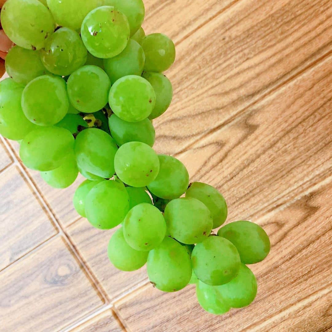 琴菜さんのインスタグラム写真 - (琴菜Instagram)「名古屋の親戚からマスカットが届いた🍇🍇暑いから冷えたマスカットをパクパク食べてしまう💦💦食べすぎてお腹壊さないようにしないとねww  先日頂いた息子へのプレゼントたち🐣🎁🍼 実用性満載のプレゼントばかりで大助かり💕⭐️⭐️本当に嬉しすぎる😍😍今のベビー・子供用品ってすごくこだわって作られてるね！！絵本一つにしても、おもちゃや洋服の素材にしてもベビーケープにしても！！ベビー用品ってすごいな〜、よく考えて出来てるな〜🤔✨✨ 今日からお盆🧚🏿‍♂️🧚🏻‍♀️今年は沖縄も内地のお盆と同じ日だ✨沖縄と内地のお盆が同じ日って滅多にないからレアだね✨ お盆休みの方もお仕事の方も熱中症には気をつけて🥵  #マスカット #フルーツ #防寒ケープ #ベビーカーケープ #ベビーケープ #絵本 #おもちゃ #おむつケーキ #おくるみ #肌着 #ベビー用品 #ベビーケア用品 #おむつケーキ #リュック #お盆 #沖縄 #旧暦」8月13日 6時53分 - dj_singer_kotona