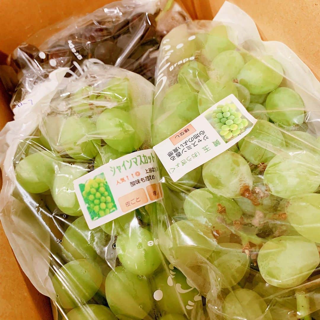 琴菜さんのインスタグラム写真 - (琴菜Instagram)「名古屋の親戚からマスカットが届いた🍇🍇暑いから冷えたマスカットをパクパク食べてしまう💦💦食べすぎてお腹壊さないようにしないとねww  先日頂いた息子へのプレゼントたち🐣🎁🍼 実用性満載のプレゼントばかりで大助かり💕⭐️⭐️本当に嬉しすぎる😍😍今のベビー・子供用品ってすごくこだわって作られてるね！！絵本一つにしても、おもちゃや洋服の素材にしてもベビーケープにしても！！ベビー用品ってすごいな〜、よく考えて出来てるな〜🤔✨✨ 今日からお盆🧚🏿‍♂️🧚🏻‍♀️今年は沖縄も内地のお盆と同じ日だ✨沖縄と内地のお盆が同じ日って滅多にないからレアだね✨ お盆休みの方もお仕事の方も熱中症には気をつけて🥵  #マスカット #フルーツ #防寒ケープ #ベビーカーケープ #ベビーケープ #絵本 #おもちゃ #おむつケーキ #おくるみ #肌着 #ベビー用品 #ベビーケア用品 #おむつケーキ #リュック #お盆 #沖縄 #旧暦」8月13日 6時53分 - dj_singer_kotona