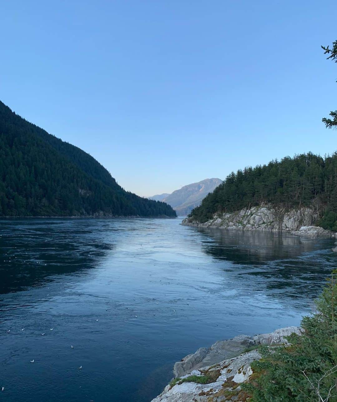 ステイシー・キーブラーさんのインスタグラム写真 - (ステイシー・キーブラーInstagram)「Wow! Words and photos really can’t express how special this magical island is! I love exploring this part of the world 🇨🇦 Nature really is God’s art 🏔🦅🏕 🎣⁣ ⁣ #vancouver #travel #familytrip #friends #girlfriends #adventure #nature」8月13日 6時54分 - stacykeibler