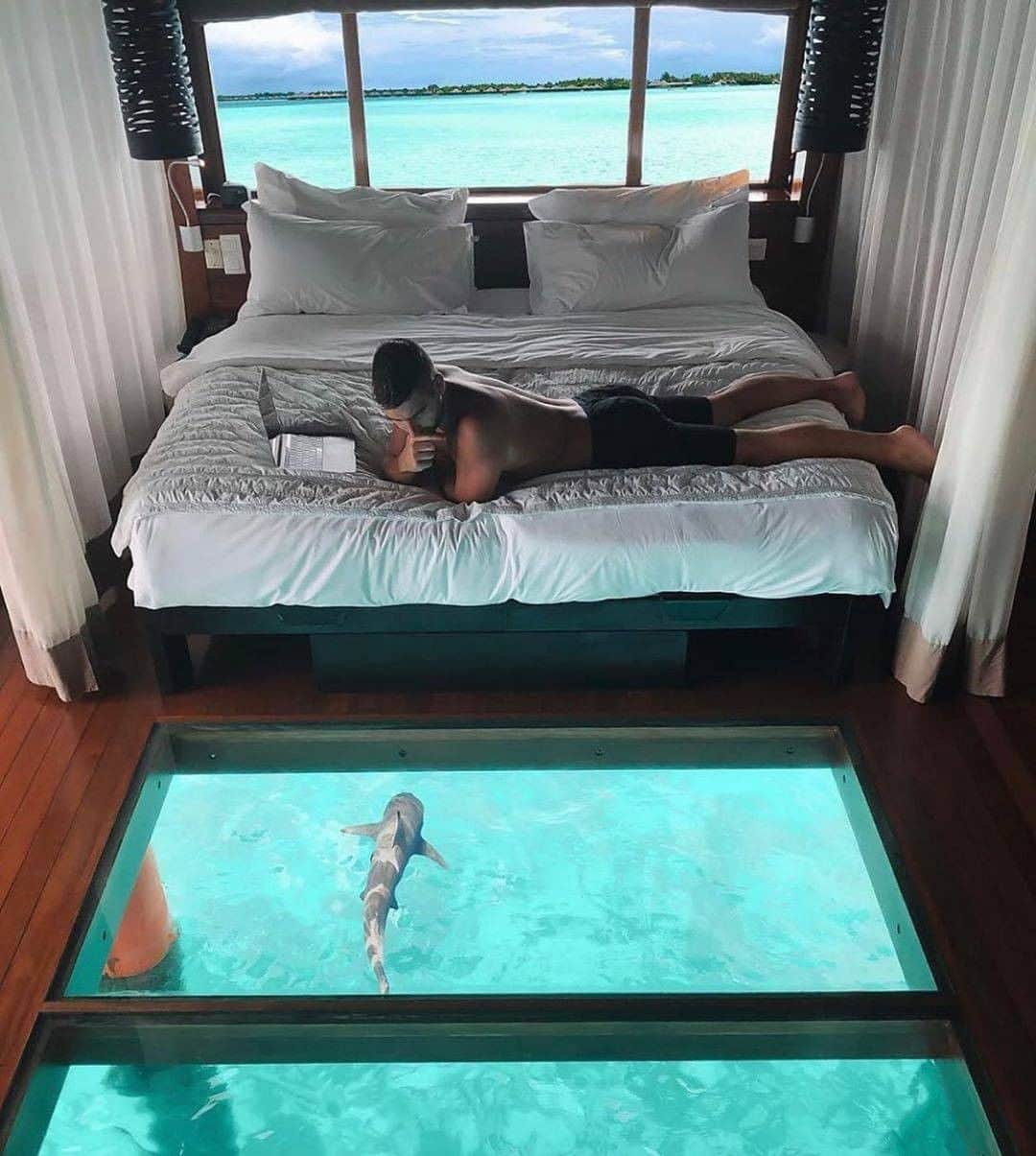 Crazy Roomsさんのインスタグラム写真 - (Crazy RoomsInstagram)「Views Credit @flywithemil . . . . . #room #luxury #water #view #beach」8月13日 7時15分 - crazyroomss