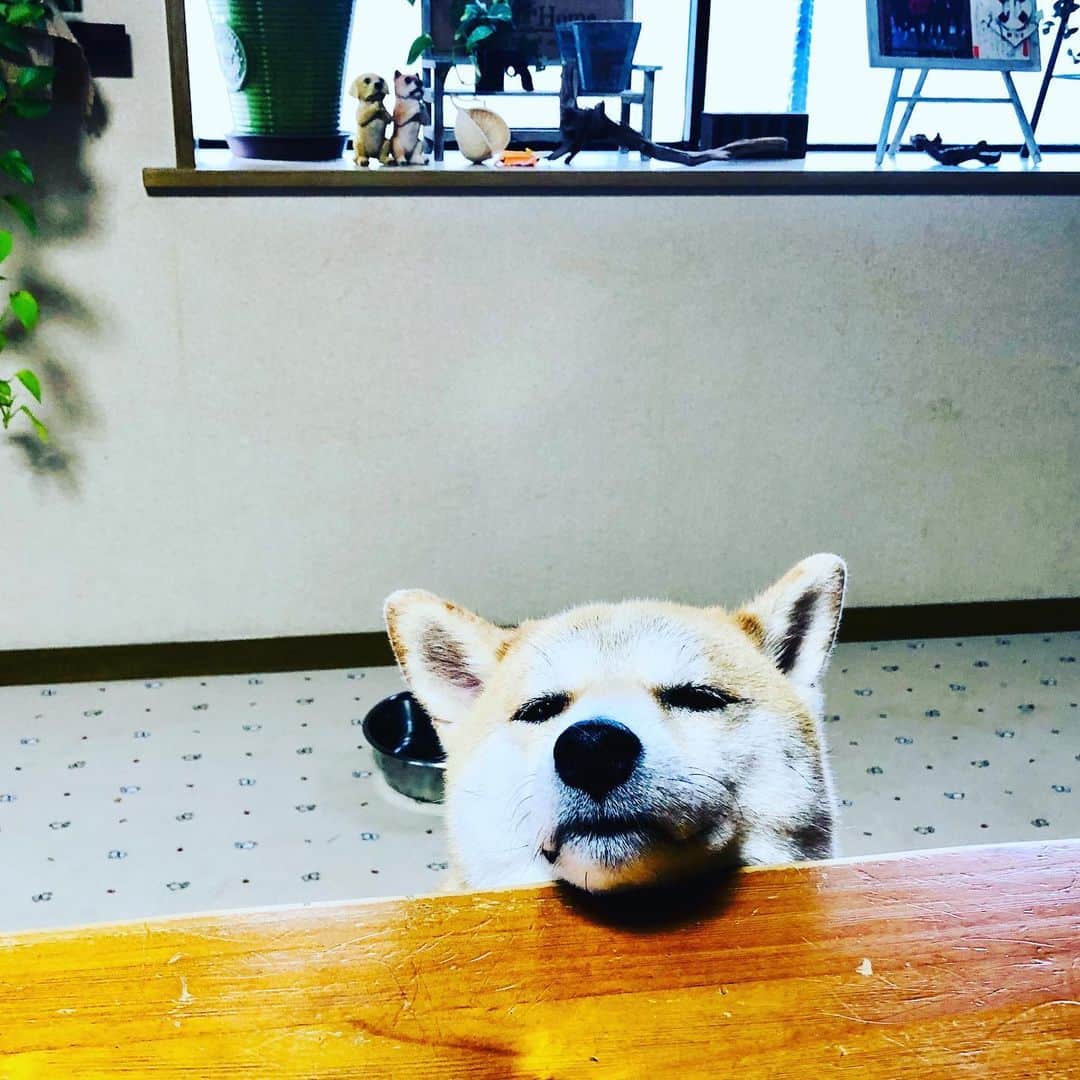 篠原信一のインスタグラム