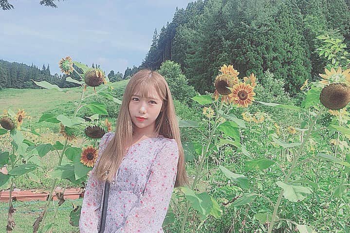 のインスタグラム：「焼けないけどすぐ肌赤くなっちゃって顔に汗かかなくて寒がりで冷房苦手でジュース買っても自力でキャップ開けられないみたいな女の子にずっと憧れてる . . . #真逆 #夏 #ひまわり畑 #避暑地 #金髪ロング #ハイトーンカラー #夏休み #高原 #spica #onepiece #summervacation #japanesegirl #japan_of_insta」