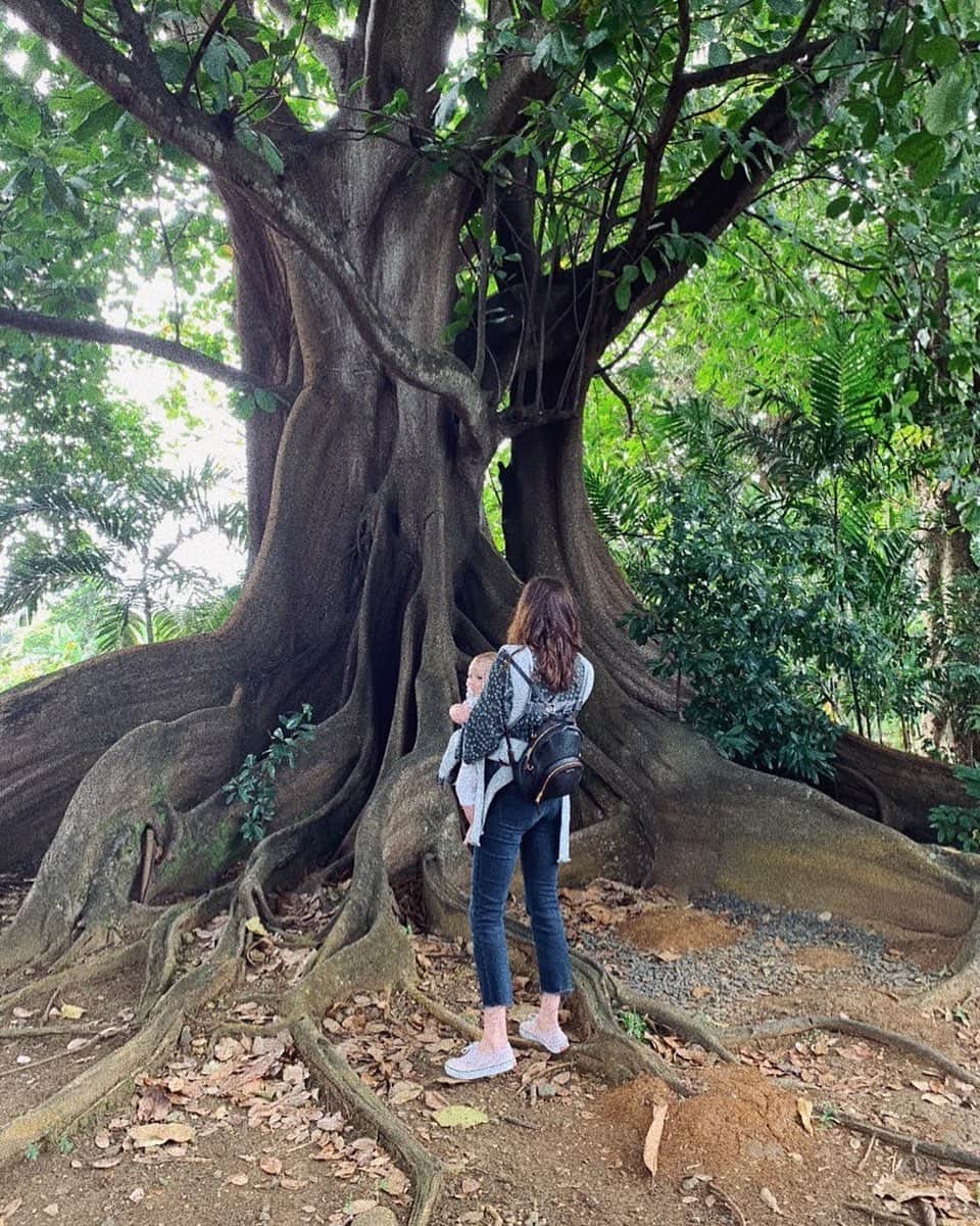 のインスタグラム：「Certain things were always the way they were, you just didn’t see them for what they really were. Let it out, cry it out, let it go. Some things will never change, understanding is the first step to acceptance and only with acceptance can there be recovery. You can’t relive your life, skipping the awful parts, without losing what made it worthwhile.  Each step made you the person you are, be grateful and move on. As Baloo says don’t spend your time looking around for something you want that can’t be found. Look for the bare necessities, the simple bare necessities, forget about your worries and your strife, I mean the bare necessities, are mother nature’s recepies, that bring the bare neccessities of life. #growingup #growingstrong」