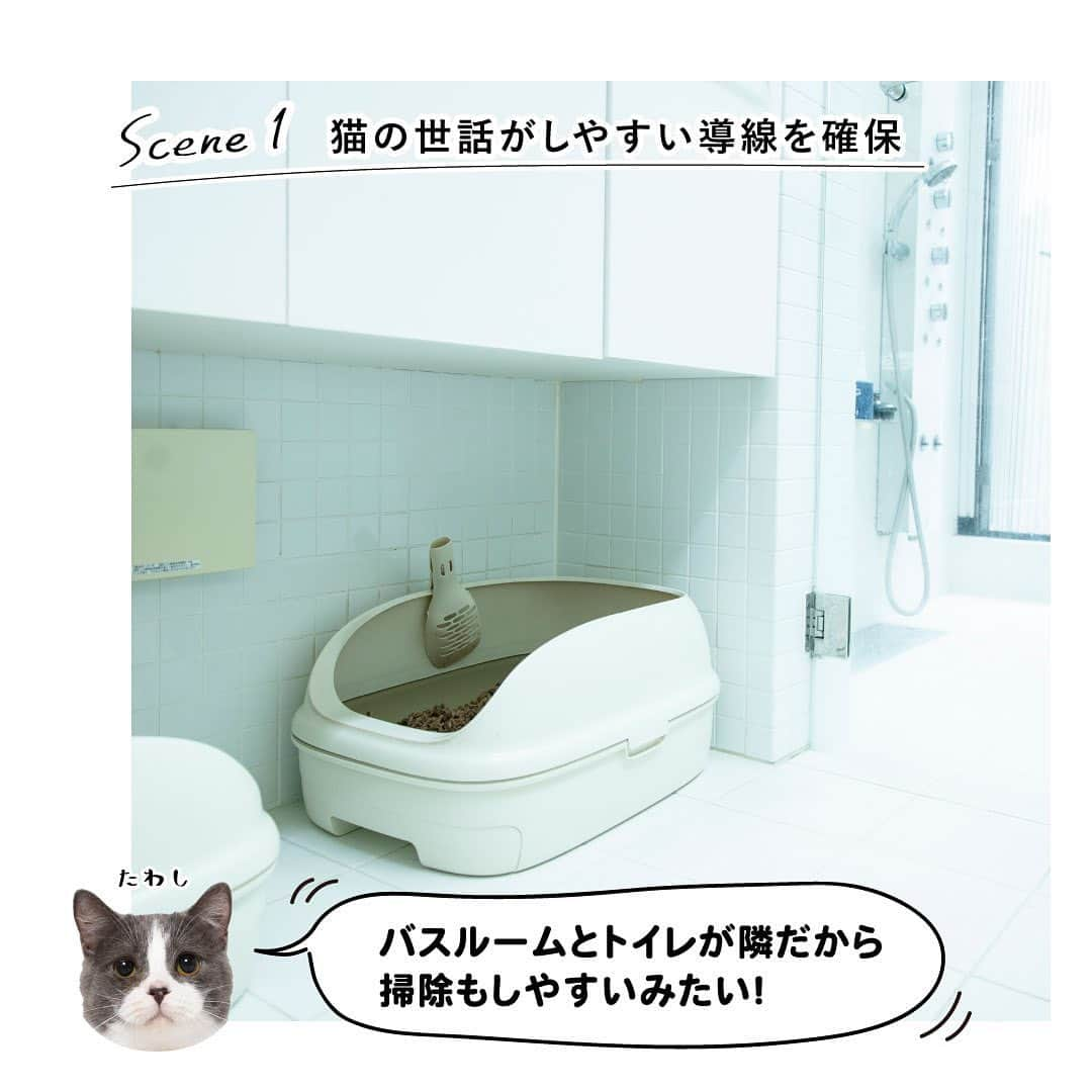 RE住むRENOVATIONさんのインスタグラム写真 - (RE住むRENOVATIONInstagram)「《たわしが行く！ネコLIFEを学ぶ旅 》 ﻿ Doliveの看板猫たわしが、﻿ いろんな先輩にゃんこの暮らしを見学して、﻿ 猫にとって居心地のいい家やライフスタイルを﻿ 勉強していく新企画！﻿ ﻿ 第一回目の訪問先は、チーさんとウーさん親子のお家。﻿ 2匹のパパ・木津さんは東京・横浜に計5棟ある猫専用賃貸を監修。﻿ 今の住居『GatosApartment』は1Fが賃貸アパートで、﻿ 木津さんたちは2Fに住んでいます。﻿ ﻿ 木津さん曰く、猫と暮らす家を建てる上で﻿ いちばん大切なのは「人間ファースト」という考え方だそう。キャットウォークが張りめぐらされた猫カフェの﻿ ような内装だと、人間が落ち着かないし、実は猫もそんな家を望んでいないんだとか。﻿ ﻿ とはいえ、猫が室内で暮らすことを﻿前提に設計されているので、室内にいながらも日光がたくさん入る小窓や屋上にバルコニーを作りました。﻿ ﻿ お世話がしやすく、自然も感じられる設計は、﻿ 人間も猫も気持ちよく暮らせますよね。﻿ ﻿ たわしは今回、「人間ファースト」が「猫ファースト」につながることを学びました。﻿ ﻿ 猫と人間は、居心地のいい空間を共有できる﻿ 最高の相棒なのかも。 ﻿ ﻿ .........................﻿ ﻿ WEBサイトでも記事公開中！﻿ （トップのURLよりご覧ください♫）﻿ @dolive.media﻿ ﻿ #dolivemedia﻿ #dolive﻿ #暮らしをカジュアルに楽しむメディア﻿ ﻿ #住まい#暮らし#住宅#家具#ライフスタイル#猫#ネコ #ねこすたぐらむ#cat#猫ハウス#猫のいる生活#猫のいる暮らし#ねこのいる生活#ねこのいる暮らし#猫家具#にゃんすたぐらむ#たわし#キャットウォーク#猫専用賃貸#GatosApartment#賃貸アパート#賃貸ペット#猫がいる幸せ#ネコ好き#ペットのいる生活#ねこのきもち#ペットとくらす家」8月13日 10時34分 - dolive.media