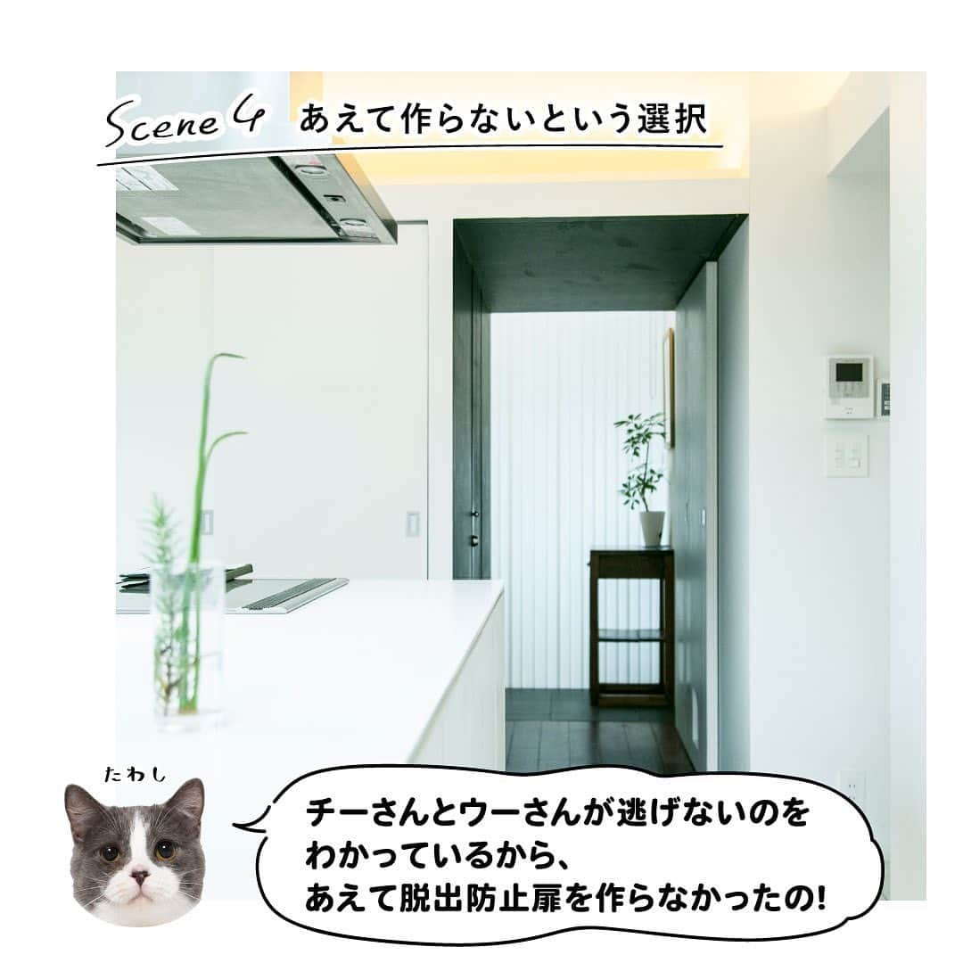 RE住むRENOVATIONさんのインスタグラム写真 - (RE住むRENOVATIONInstagram)「《たわしが行く！ネコLIFEを学ぶ旅 》 ﻿ Doliveの看板猫たわしが、﻿ いろんな先輩にゃんこの暮らしを見学して、﻿ 猫にとって居心地のいい家やライフスタイルを﻿ 勉強していく新企画！﻿ ﻿ 第一回目の訪問先は、チーさんとウーさん親子のお家。﻿ 2匹のパパ・木津さんは東京・横浜に計5棟ある猫専用賃貸を監修。﻿ 今の住居『GatosApartment』は1Fが賃貸アパートで、﻿ 木津さんたちは2Fに住んでいます。﻿ ﻿ 木津さん曰く、猫と暮らす家を建てる上で﻿ いちばん大切なのは「人間ファースト」という考え方だそう。キャットウォークが張りめぐらされた猫カフェの﻿ ような内装だと、人間が落ち着かないし、実は猫もそんな家を望んでいないんだとか。﻿ ﻿ とはいえ、猫が室内で暮らすことを﻿前提に設計されているので、室内にいながらも日光がたくさん入る小窓や屋上にバルコニーを作りました。﻿ ﻿ お世話がしやすく、自然も感じられる設計は、﻿ 人間も猫も気持ちよく暮らせますよね。﻿ ﻿ たわしは今回、「人間ファースト」が「猫ファースト」につながることを学びました。﻿ ﻿ 猫と人間は、居心地のいい空間を共有できる﻿ 最高の相棒なのかも。 ﻿ ﻿ .........................﻿ ﻿ WEBサイトでも記事公開中！﻿ （トップのURLよりご覧ください♫）﻿ @dolive.media﻿ ﻿ #dolivemedia﻿ #dolive﻿ #暮らしをカジュアルに楽しむメディア﻿ ﻿ #住まい#暮らし#住宅#家具#ライフスタイル#猫#ネコ #ねこすたぐらむ#cat#猫ハウス#猫のいる生活#猫のいる暮らし#ねこのいる生活#ねこのいる暮らし#猫家具#にゃんすたぐらむ#たわし#キャットウォーク#猫専用賃貸#GatosApartment#賃貸アパート#賃貸ペット#猫がいる幸せ#ネコ好き#ペットのいる生活#ねこのきもち#ペットとくらす家」8月13日 10時34分 - dolive.media