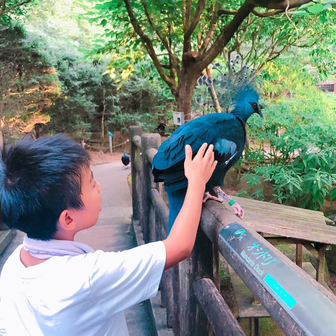 小畑由香里さんのインスタグラム写真 - (小畑由香里Instagram)「よこはま動物園ズーラシアに行ってきました🐯🐻🐵🐘 週末だけ開催しているNIGHT ZOORASIA 🌙*ﾟ  夜ならではの夏らしい デコレーションが 綺麗で子供も大人も楽しめました！  キッチンカーもたくさんあって すごーーーーーーーい 混んでたけど 焼きたてピザが最高に美味しかった😋  #よこはま動物園ズーラシア #ナイトズーラシア」8月13日 11時06分 - obata_yukari_official