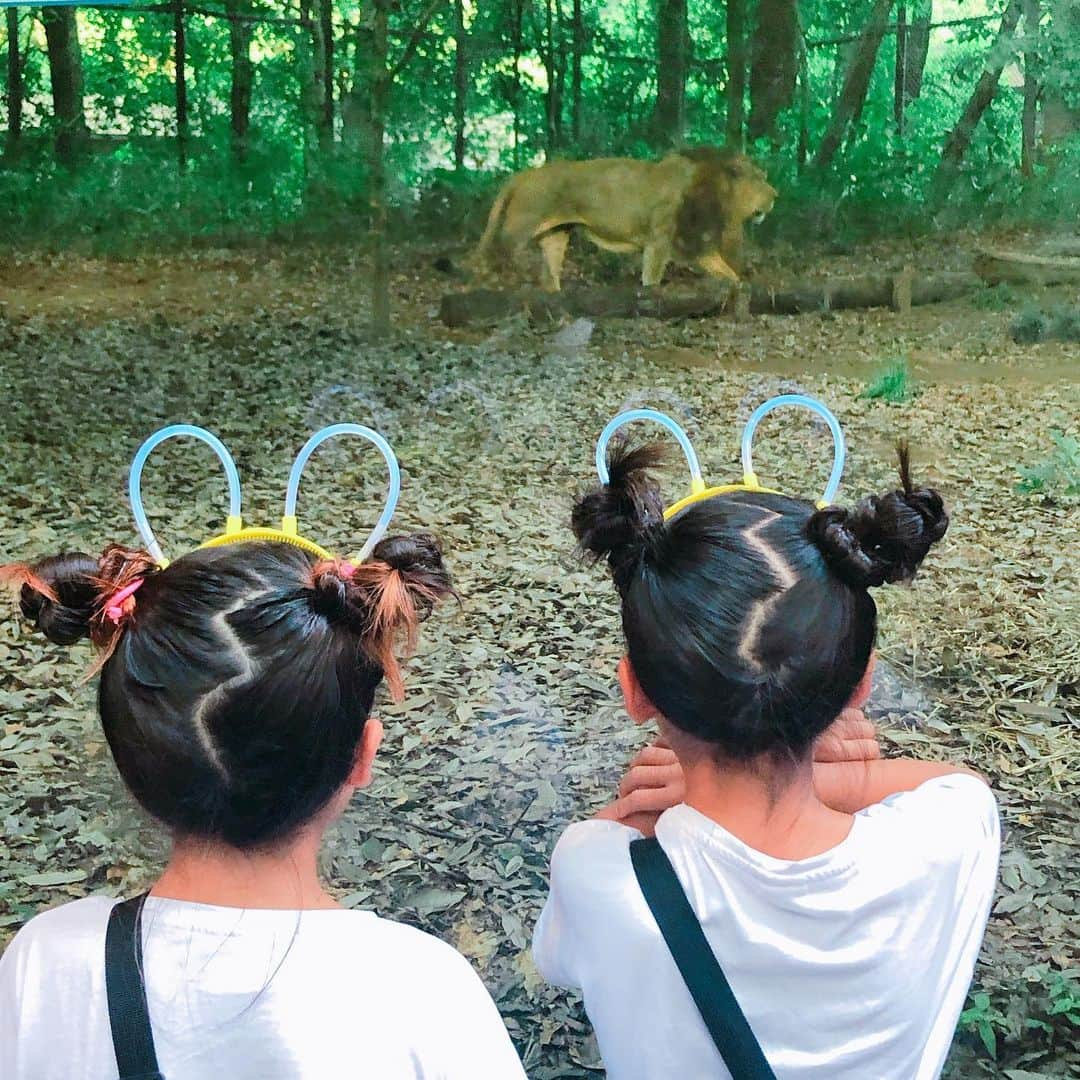 小畑由香里さんのインスタグラム写真 - (小畑由香里Instagram)「よこはま動物園ズーラシアに行ってきました🐯🐻🐵🐘 週末だけ開催しているNIGHT ZOORASIA 🌙*ﾟ  夜ならではの夏らしい デコレーションが 綺麗で子供も大人も楽しめました！  キッチンカーもたくさんあって すごーーーーーーーい 混んでたけど 焼きたてピザが最高に美味しかった😋  #よこはま動物園ズーラシア #ナイトズーラシア」8月13日 11時06分 - obata_yukari_official