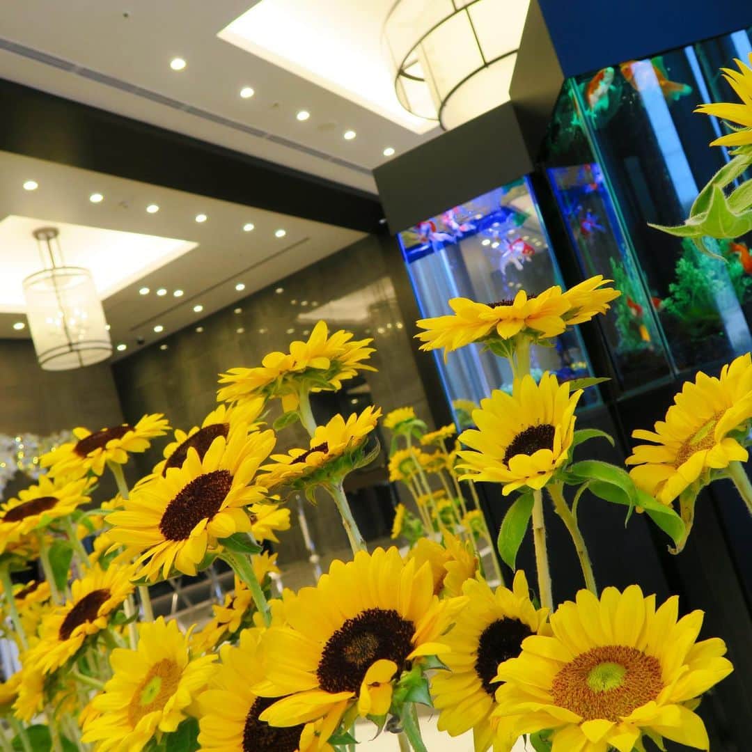 ホテルオーレ　ブロッサモーレのグルメインスタ