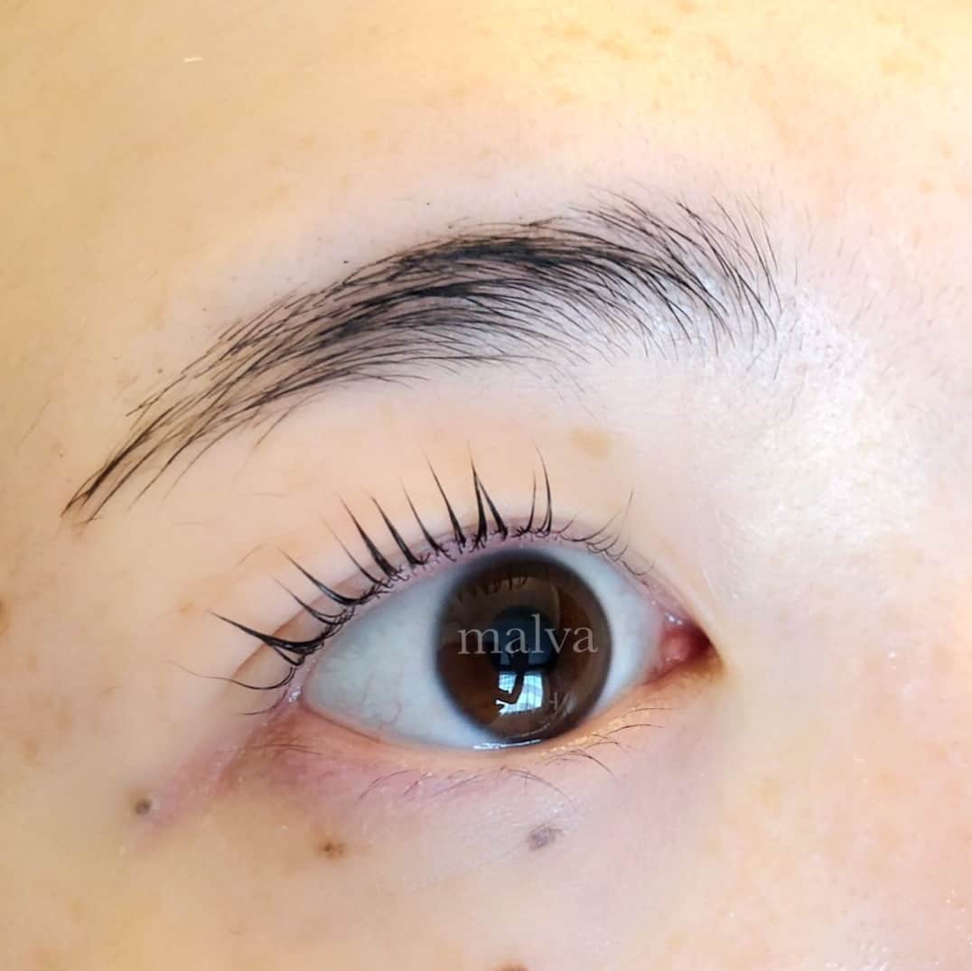 nailsalon malva（ネイルサロンマルヴァ）さんのインスタグラム写真 - (nailsalon malva（ネイルサロンマルヴァ）Instagram)「まつげカール✯⠀ ⠀ 一本一本丁寧にまつげを巻き上げてカールをかけます✯*･ :.｡だいたい施術時間は1時間ほど😊⠀ その他よくあるご質問はHP にも掲載してますので、ご覧ください♪⠀ ⠀ ⠀ スワイプで動画もご覧いただけます✯*･ :.｡⠀ ⠀ 🖤🖤🖤🖤🖤🖤🖤⠀ ⠀  𝐧𝐚𝐢𝐥 𝐬𝐚𝐥𝐨𝐧  𝐦𝐚𝐥𝐯𝐚⠀ ⠀ ⠀ 原宿LINE@→(@malvaで検索)⠀ ご予約はLINEよりお願いします♡⠀ http://www.malvanail.com/sp/tokyo/price/eyelash.html⠀ ⠀ #malvaアイラッシュ#アイラッシュ#malva#マツエク#まつえく#メイク#まつエクデザイン#森絵里香#lashes#eye#まつげエクステ#まつエク#nail#eyelash#アイリスト#アイメイク#カラーエクステ#ブラウンエクステ#メイク#ネイル#まつげエクステつけ放題#アイリスト募集#makeup#まつ毛カール#まつげカール#beauty#fashion#cosmetics#まつげ美容液#美容」8月13日 12時00分 - malva_nail