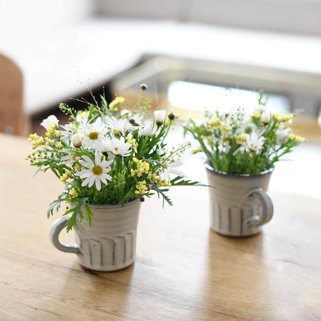 プシュケ[PSYCHE&]・花キューピットのインスタグラム：「. 日常で楽しむ花は、気軽に楽しめるナチュラルな草花を。 無造作に花瓶へいけるだけで、温かみのある食卓になります。 こんな花瓶に活けたい。とお花屋さんに、花瓶のイメージからお花のリクエストをするのもいいかも。 ｰｰｰｰｰｰｰｰｰｰｰｰｰｰｰｰｰｰｰｰｰｰｰｰｰｰｰｰｰｰｰｰｰｰｰｰｰｰｰｰｰｰｰｰｰｰｰｰｰｰｰ #プシュケ #花キューピット #花 #夏 #summer#暮らしの記録 #花のある暮らし #お花のある生活 #お花屋さん #花瓶 #フラワーベース #植物のある暮らし #おうち時間 #フローリスト #フラワーギフト #フラワーアレンジメント #flowers ｰｰｰｰｰｰｰｰｰｰｰｰｰｰｰｰｰｰｰｰｰｰｰｰｰｰｰｰｰｰｰｰｰｰｰｰｰｰｰｰｰｰｰｰｰｰｰｰｰｰｰ」