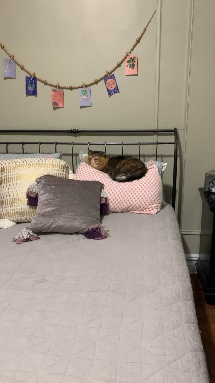 Tinaのインスタグラム：「Nightly Routine」