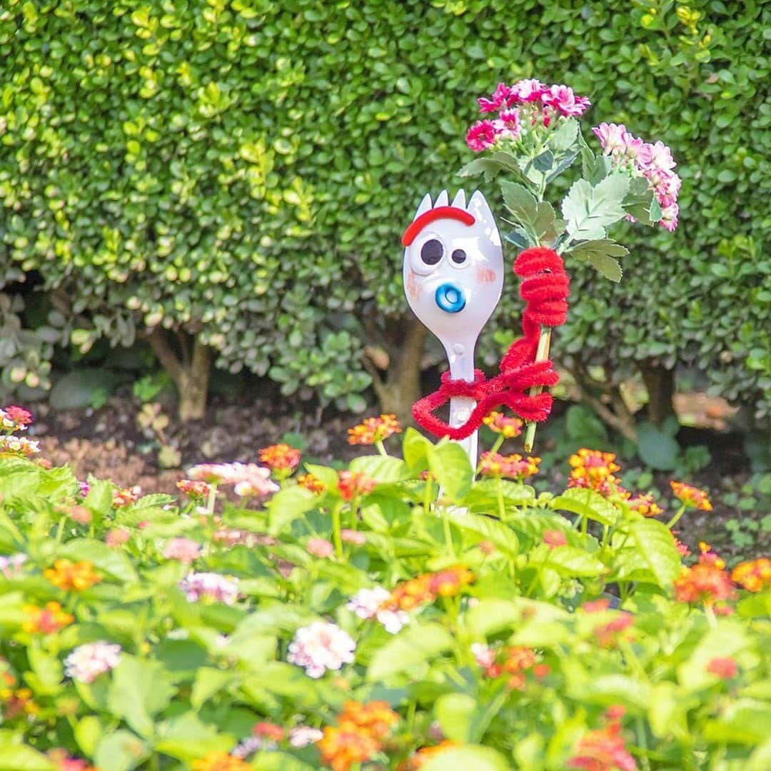 東京ディズニーリゾートさんのインスタグラム写真 - (東京ディズニーリゾートInstagram)「Hiding with flowers!? お花の中でなにしているの～？ (Photo:@mapooh.disney)  #forky #funtimewithtoystory4 #tokyodisneyland  #toystory4 #フォーキー #ファンタイムウィズトイストーリー4 #東京ディズニーランド #東京ディズニーリゾート #トイストーリー4  これからもゲストのみなさんの写真をご紹介します。#tokyodisneyresort　などをつけて投稿してくださいね。詳しくは公式ブログでご案内しています。 http://www.tokyodisneyresort.jp/blog/151005/」8月13日 12時39分 - tokyodisneyresort_official