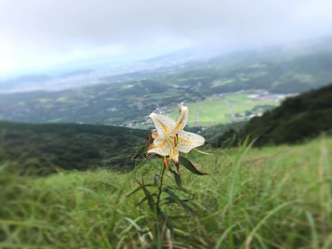 わたなべだいすけさんのインスタグラム写真 - (わたなべだいすけInstagram)「今日は朝から慣れない撮影でしたが、スタッフのみなさんのおかげでとてもたのしかったです。ありがとうございました。詳細は、しばしお待ちを。」8月13日 12時53分 - daisukewhatanabe