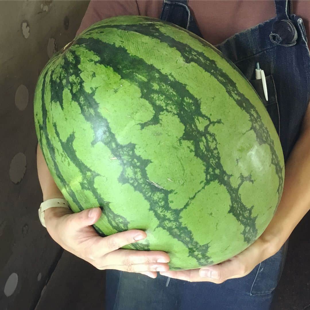 TODAY'S SPECIALのグルメインスタ