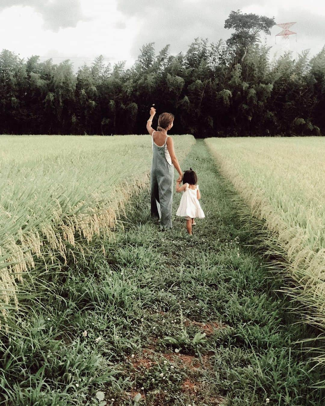 山中美智子さんのインスタグラム写真 - (山中美智子Instagram)「滋賀の 夏 🌾🌿」8月13日 22時58分 - alexiastam1988