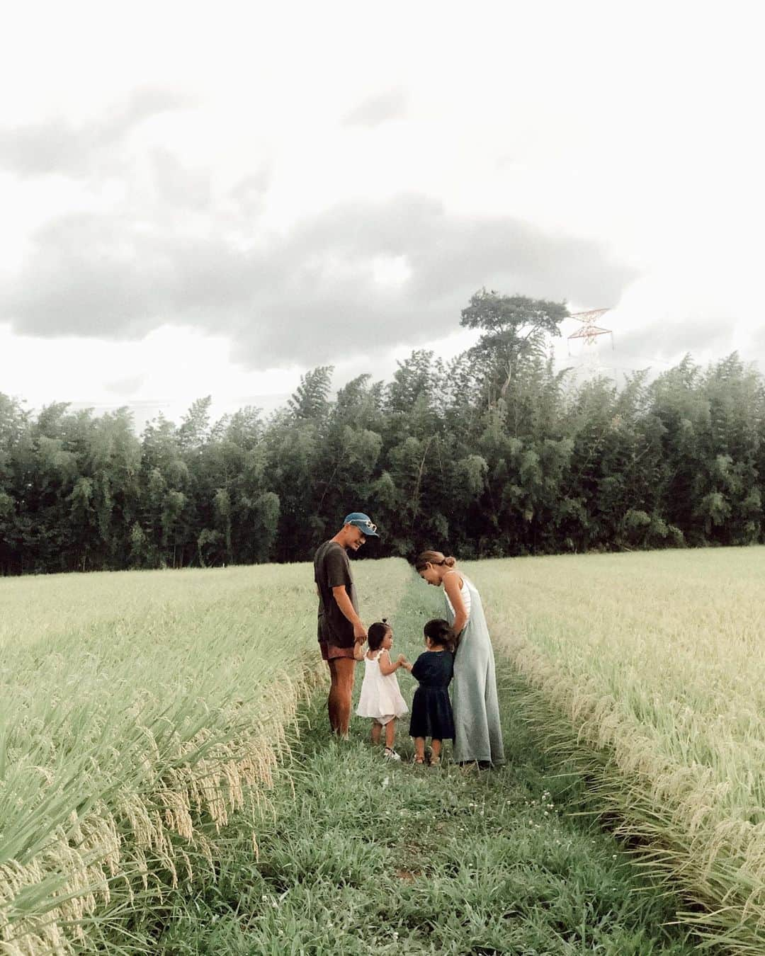 山中美智子さんのインスタグラム写真 - (山中美智子Instagram)「滋賀の 夏 🌾🌿」8月13日 22時58分 - alexiastam1988