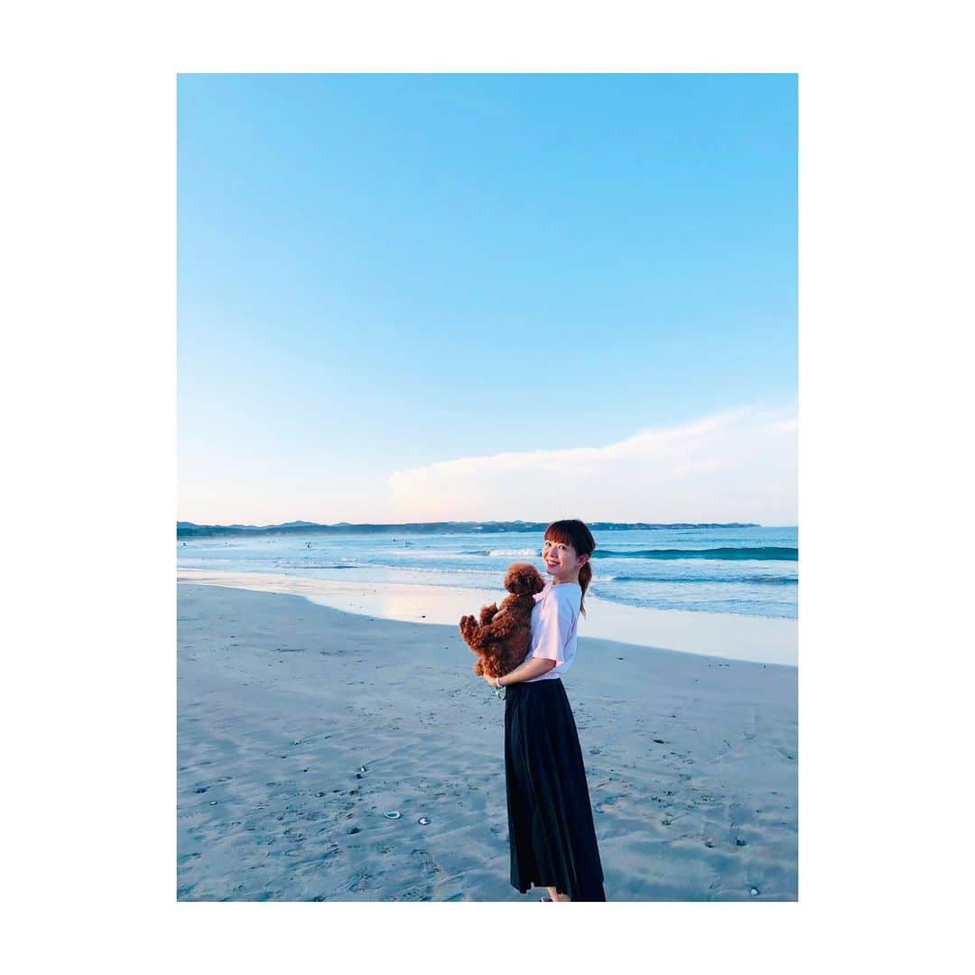 牧野由依さんのインスタグラム写真 - (牧野由依Instagram)「ピンクの空が映る海の青。 小さい時から知ってる場所はやっぱり落ち着く😌💖 海は海藻ぶんぶんするだけの場所ではないのです🙅🏻 ほーら、こんなおしゃれな写真も…撮れてる…でしょ？ でしょでしょ？笑 #海岸 #夕暮れ #dogstagram #いぬすたぐらむ #おさんぽ」8月13日 22時54分 - yui_makino0119