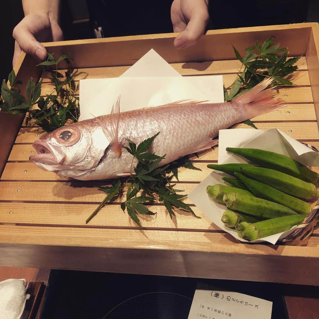 千吉良恵子さんのインスタグラム写真 - (千吉良恵子Instagram)「#のどぐろ専門店  #銀座中俣はなれ  #暑気払い😊🍀 #女史会 #笑った笑った🤣🤣🤣 #楽し過ぎました🤣💕 肝心ののどぐろしゃぶしゃぶを撮り忘れました😢」8月13日 23時36分 - chigirakeiko