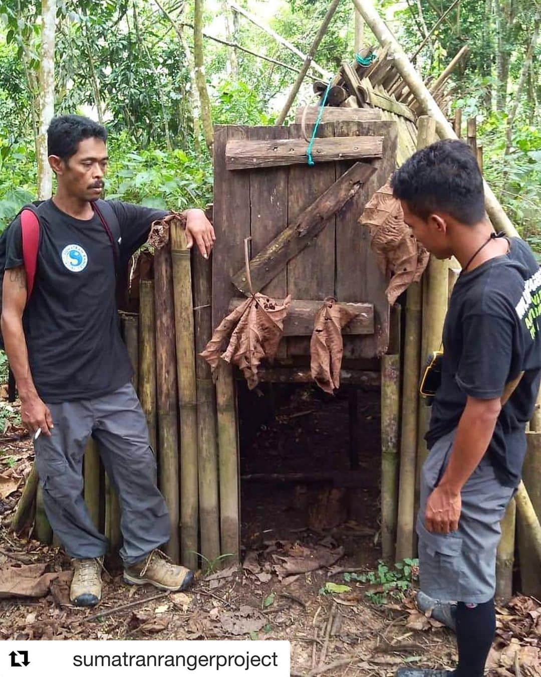ブリアナ・エヴィガンのインスタグラム：「#Repost @sumatranrangerproject with @get_repost THESE ARE ONE OF THE MANY THINGS GOING ON OUT HERE ・・・ No, it's not a Hobbit house or a cabin in the woods. This is an elaborate live animal trap our team stumbled across while on patrol outside the protected Gunung Leuser National Park. This is a new form of trap for the rangers to find, with tempting food inside to lure unwitting wildlife in, using jackfruit and durian as bait - a delicacy during this fruiting season. There is still so much to be done in forest edge communities in the Leuser Ecosystem, the most important being to understand why locals set traps and how we can help them with alternative livelihoods that don't harm the environment.  #endpoaching #saveleuserecosystem #lovetheleuser #animal #trap #livetrap #community #conservation #rangers #patrol #wildlife #australianaid #helpingothers #friendshipgrants @thingreenlinefoundation」