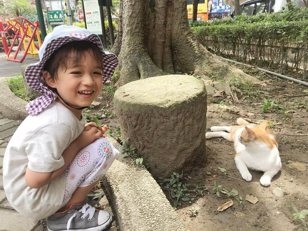 ねこさんのインスタグラム写真 - (ねこInstagram)「ねぇねぇ❣️おはなししよーお❣️ #neko_magazine #ねこ #猫 #ネコ #catstagram #cat #ねこマガジン #NEKONOBA」8月13日 15時38分 - neko_magazine