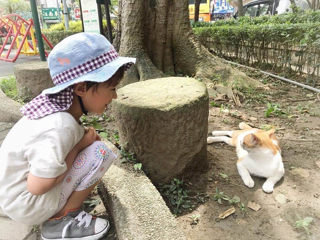 のインスタグラム：「ねぇねぇ❣️おはなししよーお❣️ #neko_magazine #ねこ #猫 #ネコ #catstagram #cat #ねこマガジン #NEKONOBA」