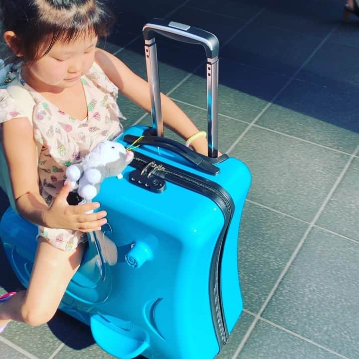 鴨志田由貴のインスタグラム：「うちに来る前に新しいキャリーケースが欲しい！と言うので、買ってあげたやつで京都に遊びに来てくれました。いや、すんごい注目浴びてるんですけど…」