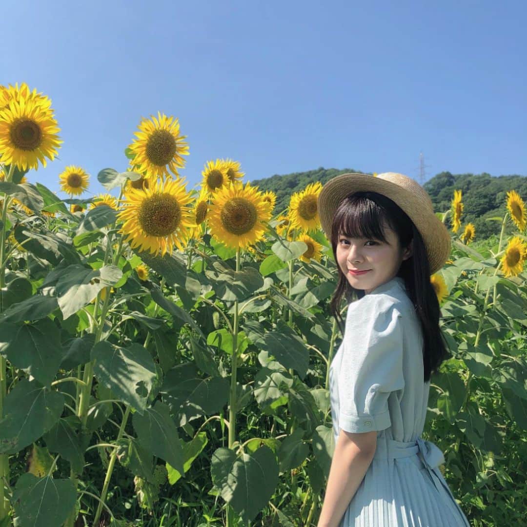 のインスタグラム：「* 高根にこんなに素敵な向日葵畑が あるなんて知りませんでした🌻 広くておっきくてすごかったです！ わたしが行ったときは、 まだまだ満開でした👒❤︎ #村上市 #向日葵畑 #ひまわり畑」