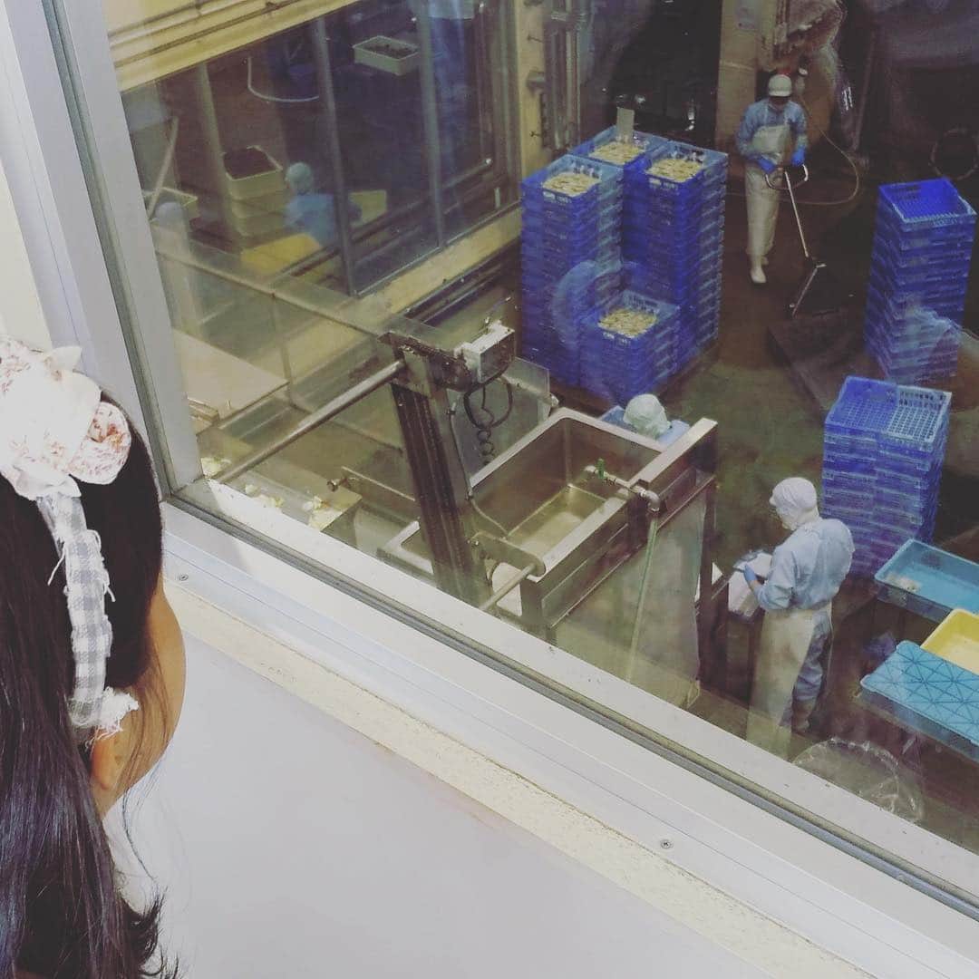 桑原麻美さんのインスタグラム写真 - (桑原麻美Instagram)「長女と漬物工場の見学へ。  我が家の食卓には ほとんど#漬物 はありませんが、 たまにはいいな、と。  その後は親子で #オイキムチ 作り。  かなり美味しい♪  そしてお土産に買った #チーズの味噌漬け は、 子どもも気に入り、 大人はお酒が飲みたくなる。 お土産リストに仲間入り。  毎日一緒にはいられないけど、 いられる時は思い出を たくさん作りたい。  母になって8年目の夏。 ・・・・・・・・ ９月６日の話し方講座 http://blog1.kachigawa.info/  アナウンサーが教える 声と話し方のメルマガ  登録はプロフィールから♡ @asami_kuwabara  #アナウンサー#フリーアナウンサー#司会者#話し方講座#話し方レッスン名古屋」8月13日 16時38分 - asami_kuwabara