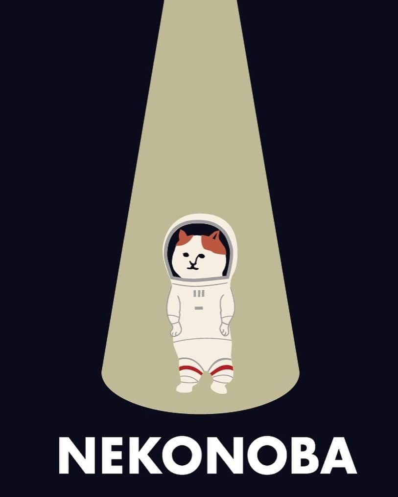 ねこさんのインスタグラム写真 - (ねこInstagram)「UFOで札幌に来ました🛸 #neko_magazine #ねこ #猫 #ネコ #catstagram #cat #ねこマガジン #NEKONOBA #nyasa #kozacla」8月13日 17時26分 - neko_magazine