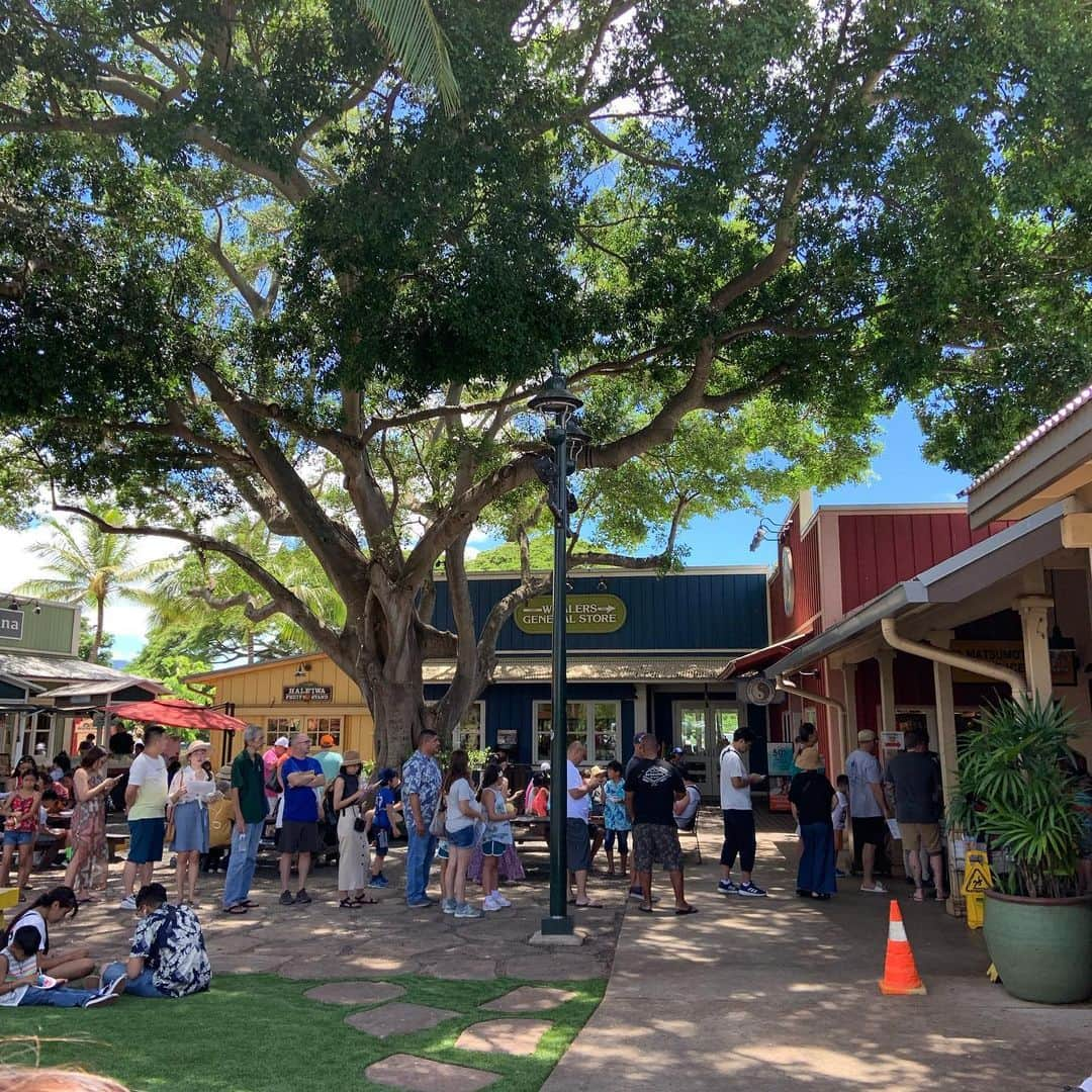 Aloha Street アロハストリートさんのインスタグラム写真 - (Aloha Street アロハストリートInstagram)「いつも行列な「マツモトシェイブアイス」🍧みなさんは何のフレーバーが好きですか？😊（エリカ） ・ #ハワイ#マツモトシェイブアイス#ノースショア#hawaii #northshore #matsumotoshaveice」8月13日 17時42分 - alohastreetcom_hawaii