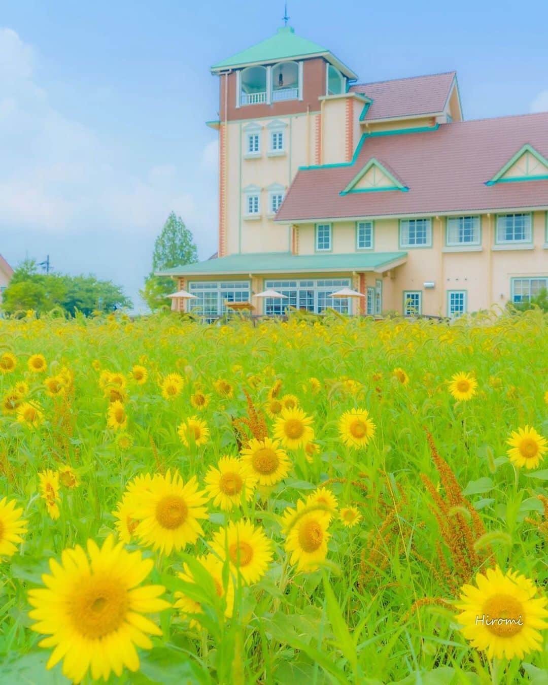 エイチ・アイ・エスのグルメインスタ
