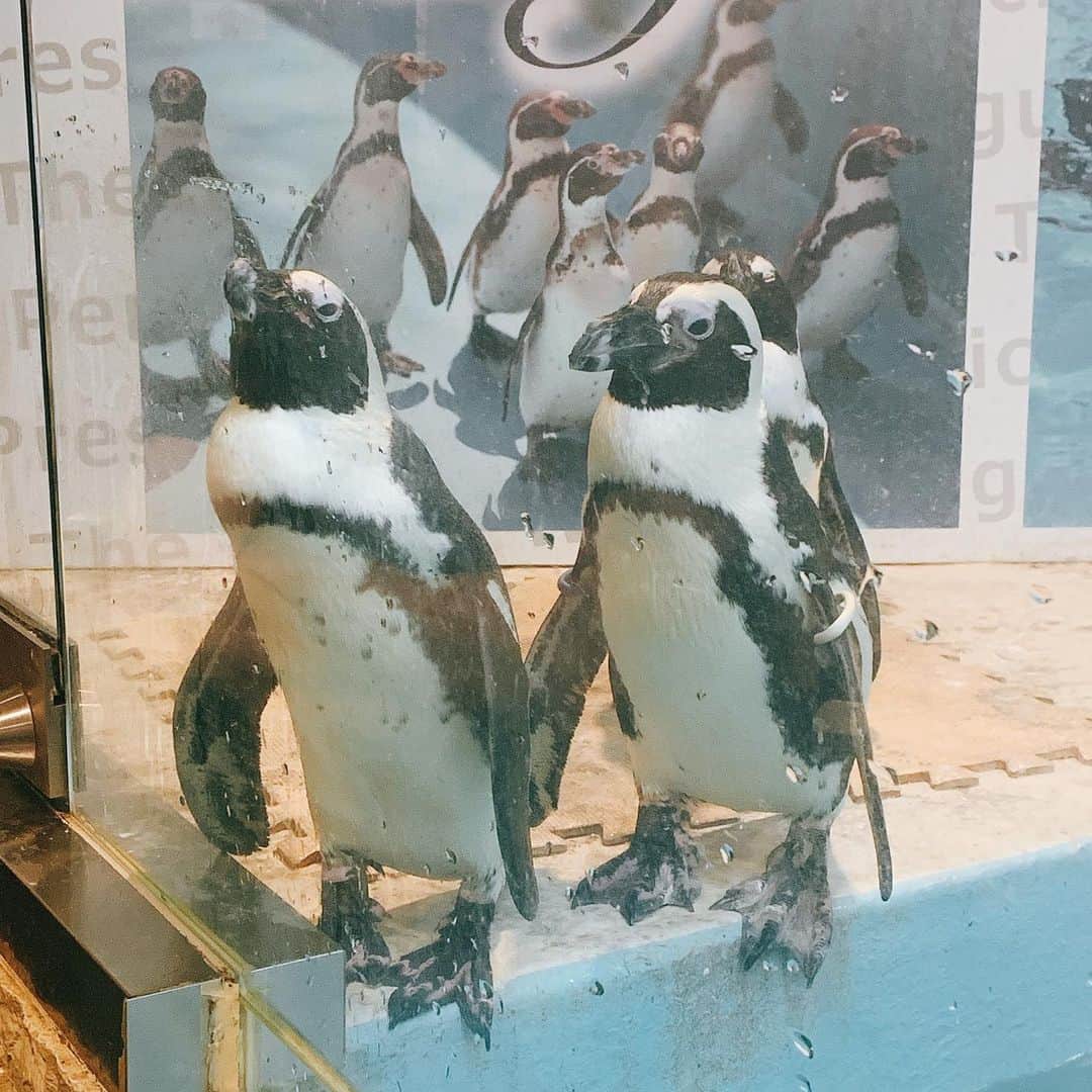 HIROMINのグルメインスタ