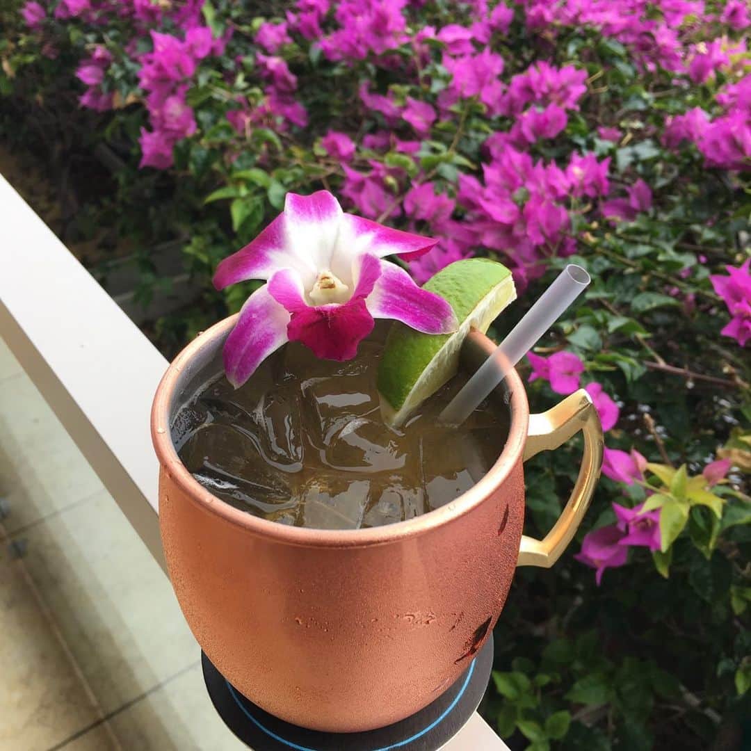Trump Waikikiさんのインスタグラム写真 - (Trump WaikikiInstagram)「We have new copper cups filled with organic Maui Ocean Vodka, real ginger puree, lime juice and sparkling water. That's our concoction of a Maui Mule cocktail to enjoy during sunset Happy Hour at Wai’olu Ocean Cuisine. #trumpwaikiki #neversettle #waioluoceancuisine #mauimule  オーガニックのマウイ・オーシャン・ウォッカ、ジンジャーピューレ、ライムジュースをミックスしたカクテル”マウイ・ミュール”。ワイオル・オーシャン・キュイジーヌでお楽しみください。#トランプワイキキ#ワイオルオーシャンキィジーヌ#カクテル」8月13日 18時50分 - trumpwaikiki