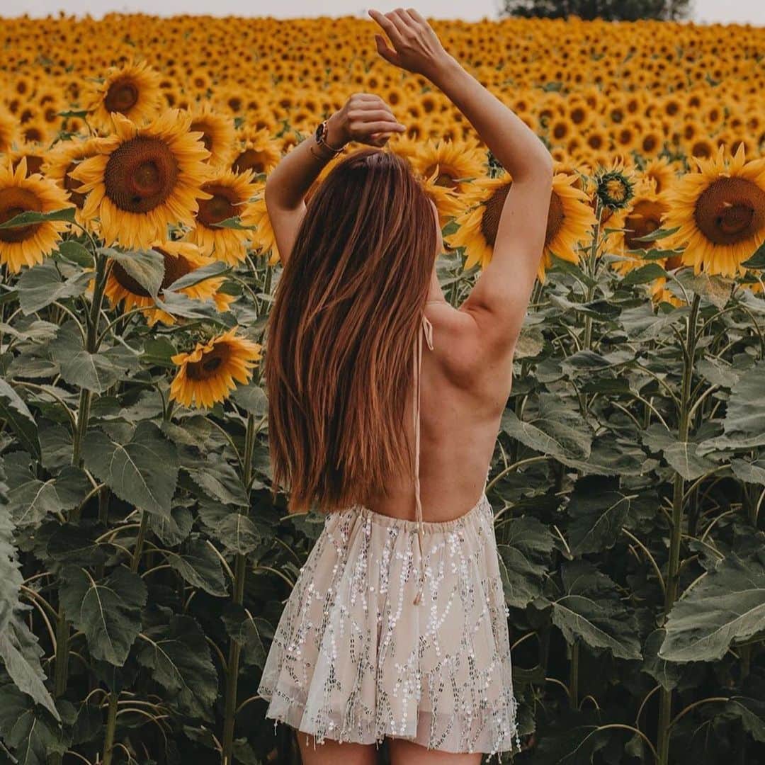 pomeloさんのインスタグラム写真 - (pomeloInstagram)「Sunflower field from @christina.kli  Have a nice Tuesday!  #pomelocamera #pomeloapp #photographer #sunflower #photography #flower #sunshine #sun #bright #light #pomelocam #yellow」8月13日 18時55分 - pomelocam