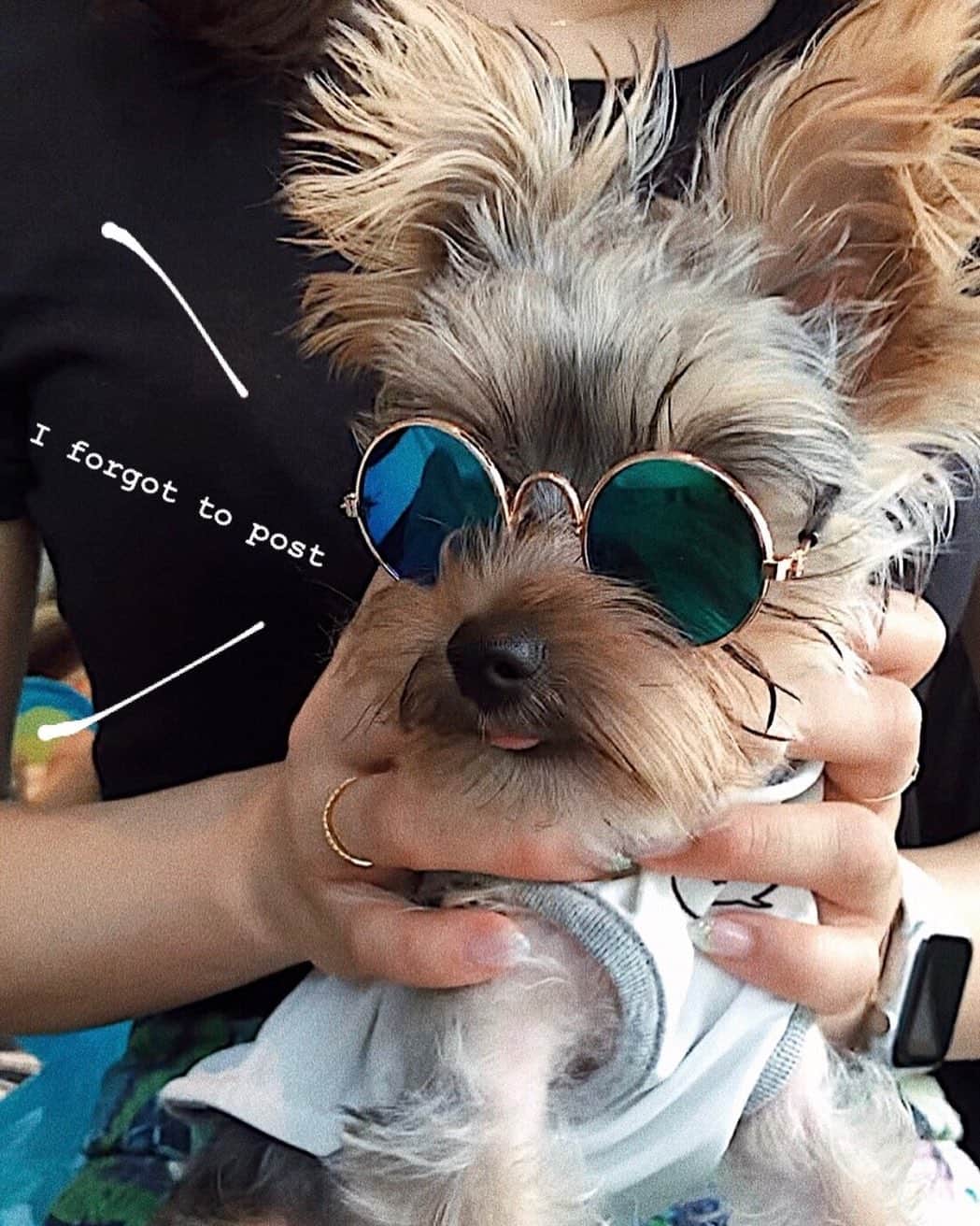 中野英菜のグルメインスタ