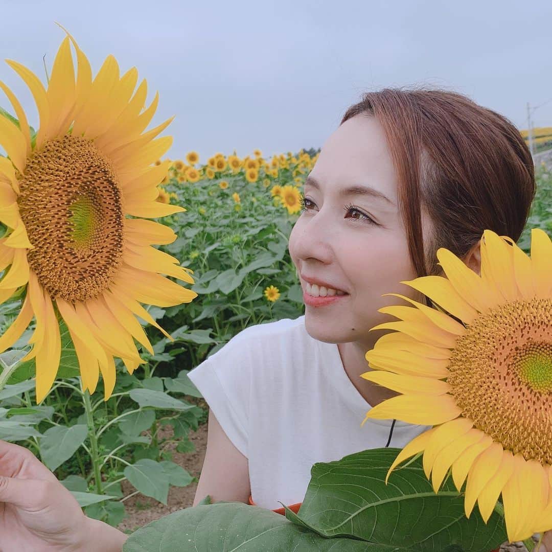 若林翔子のインスタグラム：「* * ひまわり畑🌻﻿ 見てるだけで元気になれる！！﻿ ﻿ ﻿ #チャージ #旬感さんぽ #ひまわり  #ひまわり畑﻿ #sunflower #花言葉  #私はあなただけを見つめる﻿ #宮城 #大崎市」