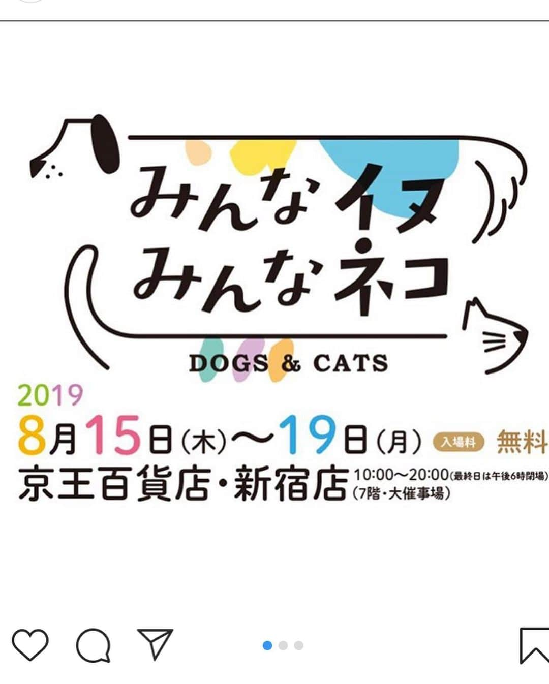 柴犬ハル&保護犬すずさんのインスタグラム写真 - (柴犬ハル&保護犬すずInstagram)「🐕🐱 . 「おかーしゃーんーー！ すずが載ってる写真集が届いたよ📕」 . #みんなイヌみんなネコ #8月15日から東京新宿で始まる写真展 #販売される写真集が一足早く届いたよ #写真展や写真集ですずを探してみてね #たくさんの保護犬と保護猫の写真が展示されるよ #譲渡会もあるみたいです #幸せになるために生まれてきたんだよ #食パンにかぶりつくのも幸せだよね❤️ . #柴犬#柴#kagoshima#dog#puppy#鹿児島#赤柴#雑種#天文館#日本犬#保護犬を家族に#保護犬#元保護犬#家族」8月13日 19時54分 - haruharu040777