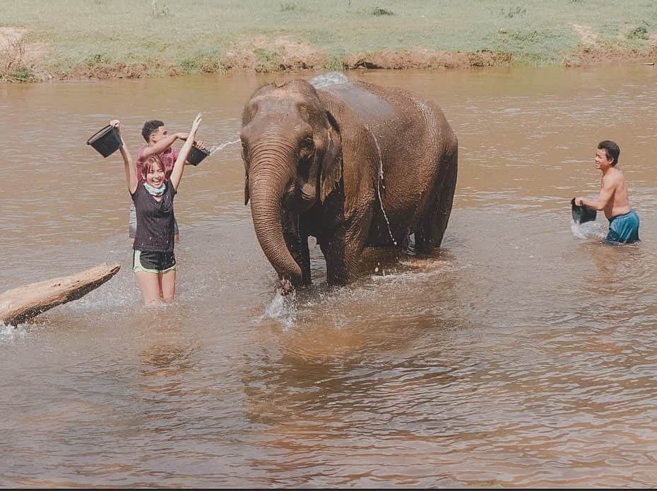 Kathryn Bernardoさんのインスタグラム写真 - (Kathryn BernardoInstagram)「Today is World Elephant Day so I'm posting these throwback pictures from our Chiang Mai trip! If only the world knows how beautiful these gentle giants are! 🐘❤ Let's all help in protecting them by NOT supporting elephant riding camps and ivory poaching. 🙅🏽‍♀ A few years ago, I myself had no idea that riding elephants is a form of maltreatment and could very well lead to injury. Instead of enjoying, I just felt bad for them, witnessing firsthand how the mahouts would hit them just to make them smile for pictures with tourists. I promised myself to make it up to them and go back to an elephant sanctuary. Fast forward to 2018, I paid a visit to @elephantnaturepark, an elephant rescue and rehabilitation center headed by @lek_chailert, and I had the most wonderful experience! Please, let’s all do our research before going to any elephant camps. Instead, let’s support non-riding camps! These gentle giants, and all animals for that matter, need our protection and proper care. Like us human beings, they deserve to be treated with love and respect. 🐘❤ #WorldElephantDay」8月13日 19時59分 - bernardokath
