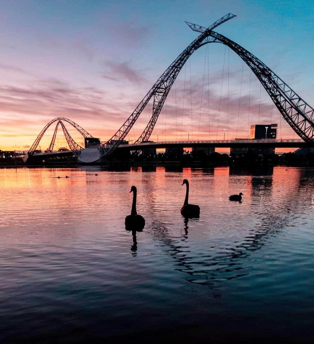 Australiaさんのインスタグラム写真 - (AustraliaInstagram)「Now you know why it’s called #SwanRiver. 😮💡 @saifullar spotted these swans checking out their namesake in @destinationperth, as the sun set over #MatagarupBridge. This photogenic spot in @westernaustralia’s capital is popular with local walkers and runners, who often do circuits around the river before or after work. Put your sneakers on and join in, or book a river cruise with @captaincookcruiseswa if you prefer to take in the views at a slower pace.  #seeaustralia #justanotherdayinwa #thisiswa #seeperth #sunsetlover #wildlifephotography」8月13日 20時00分 - australia