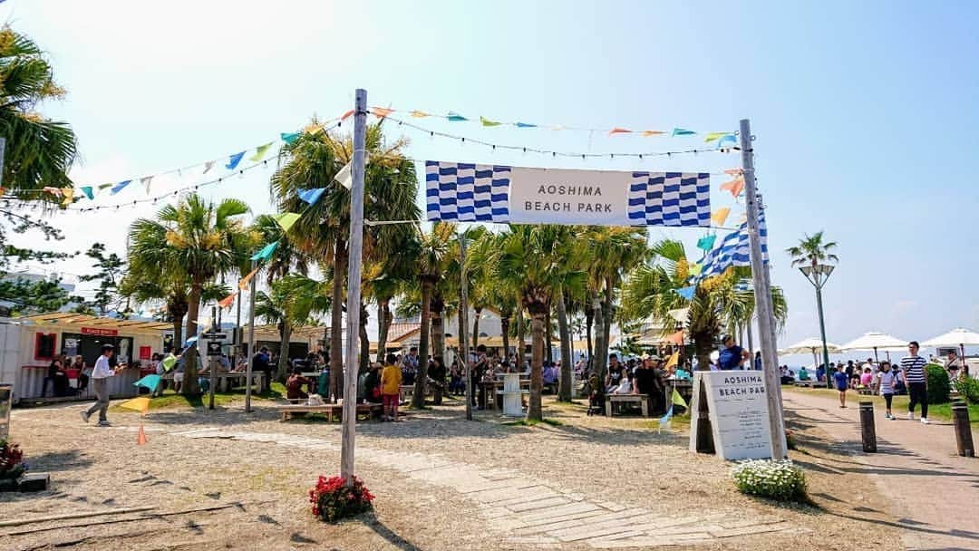 磯貝サイモンのグルメインスタ