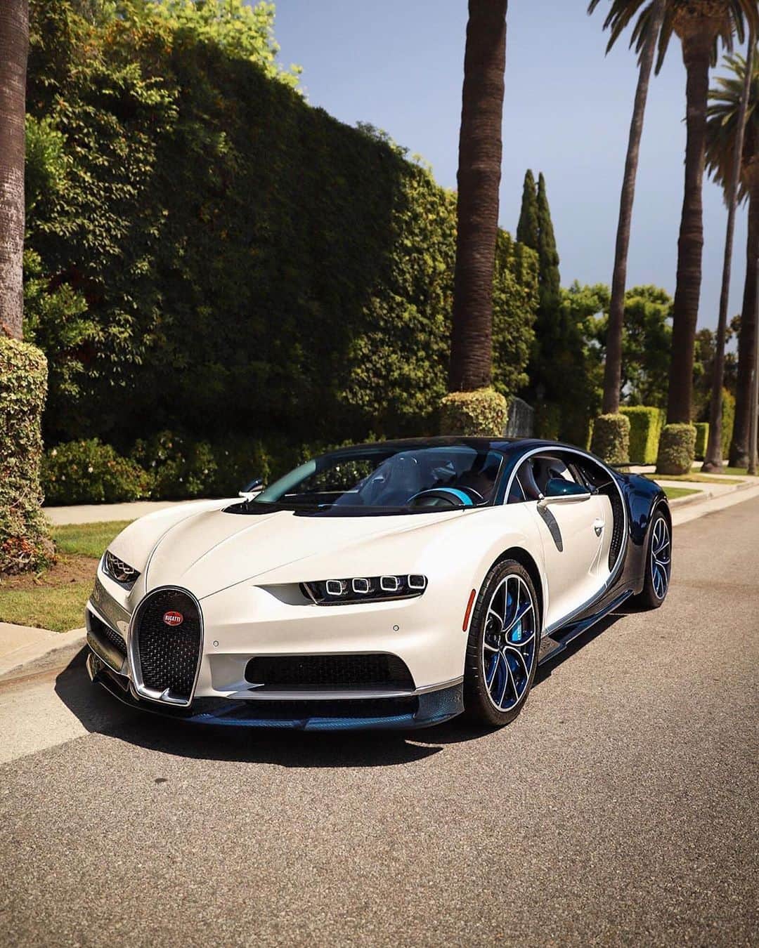 CarsWithoutLimitsさんのインスタグラム写真 - (CarsWithoutLimitsInstagram)「White Chiron W/ Blue Carbon Fiber Photo @lacarspotter_  #carswithoutlimits #bugatti #bugattichiron #chiron」8月13日 20時18分 - carswithoutlimits