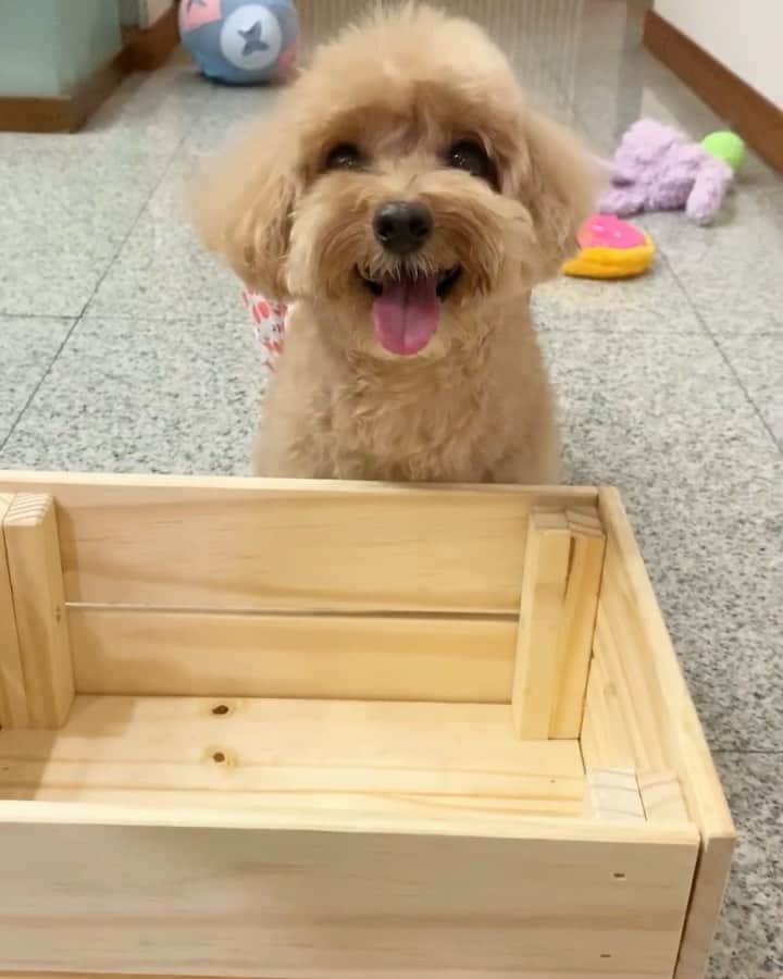 Truffle??松露?トリュフのインスタグラム